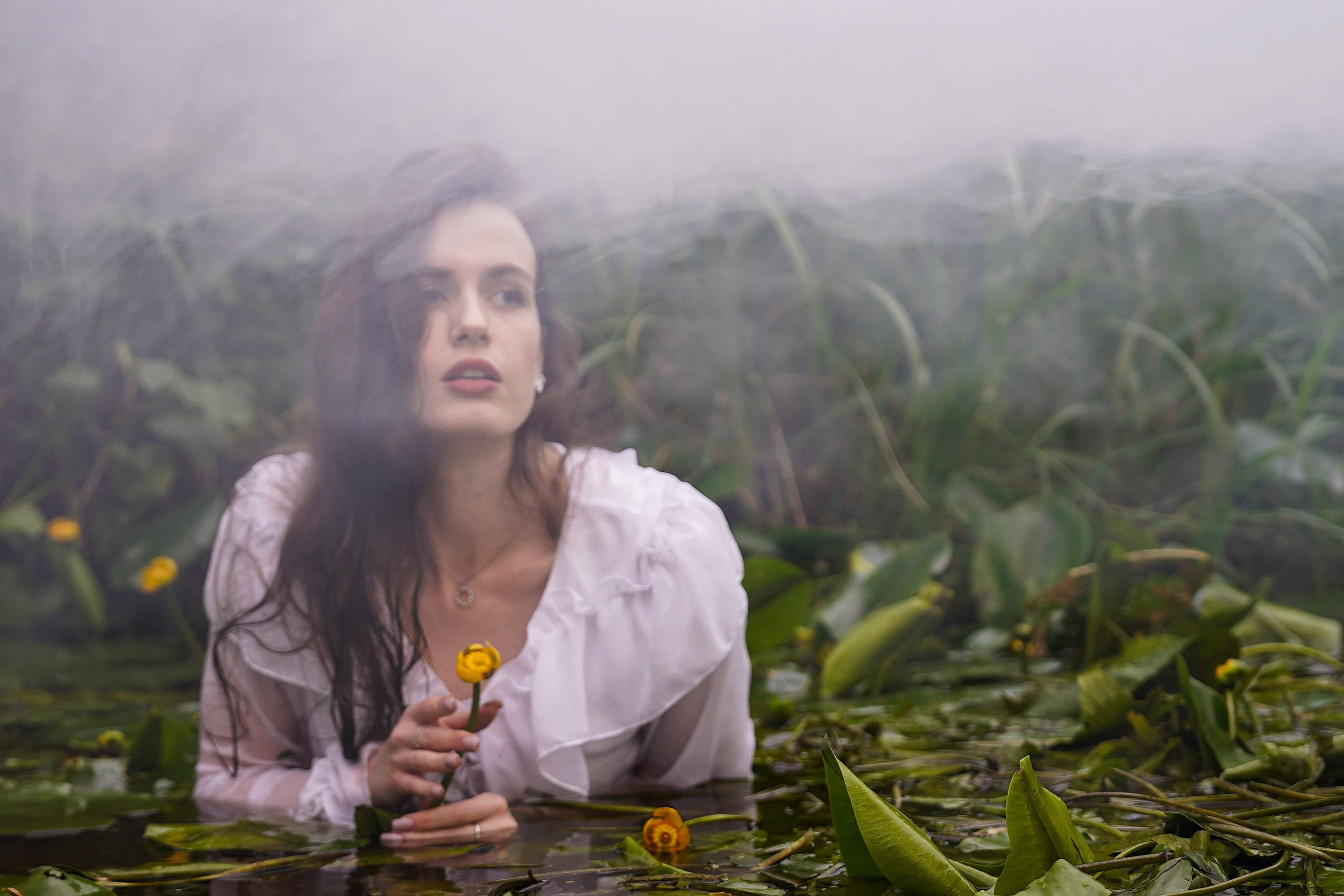 Русалки и водные лилии. Главная