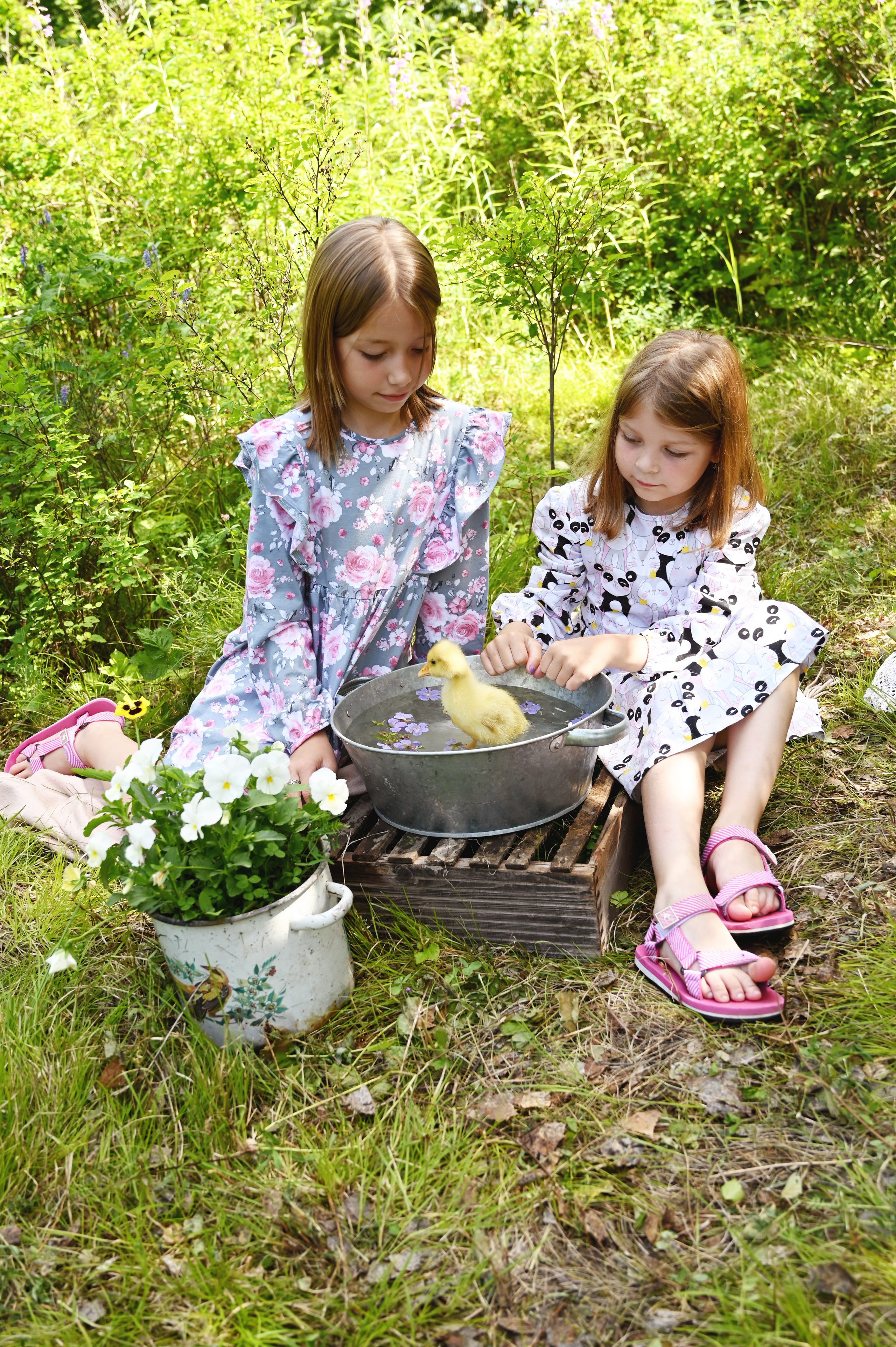 Дети и гусята. Семейный и детский фотограф в Хакасии