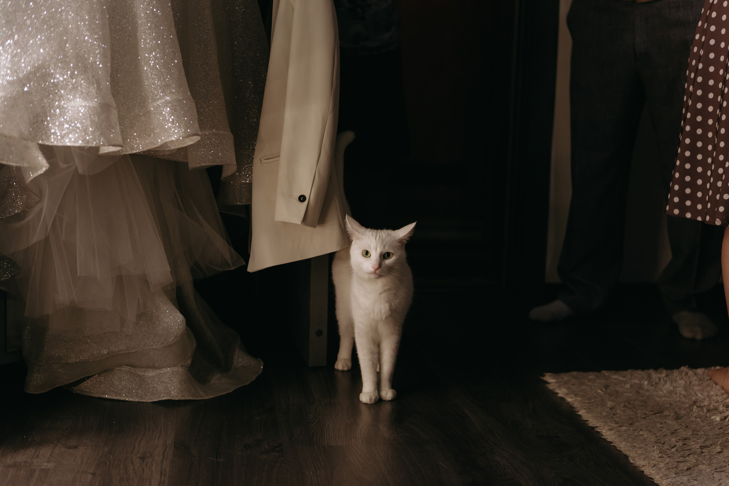 Над крышами Питера. Свадебный и семейный фотограф Арина Кулёва