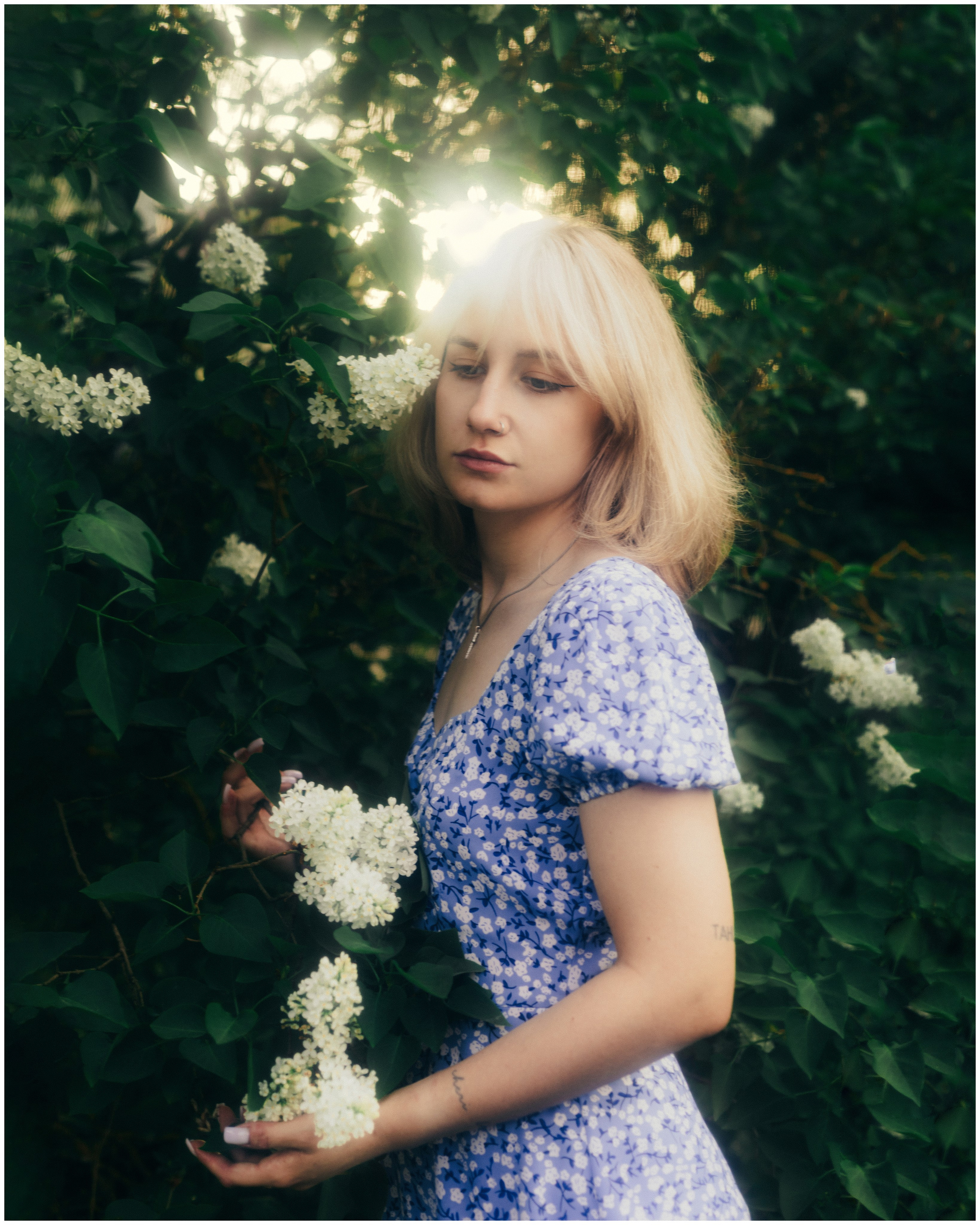 Anastes. Sun Betty — кинофотограф Элизабет
