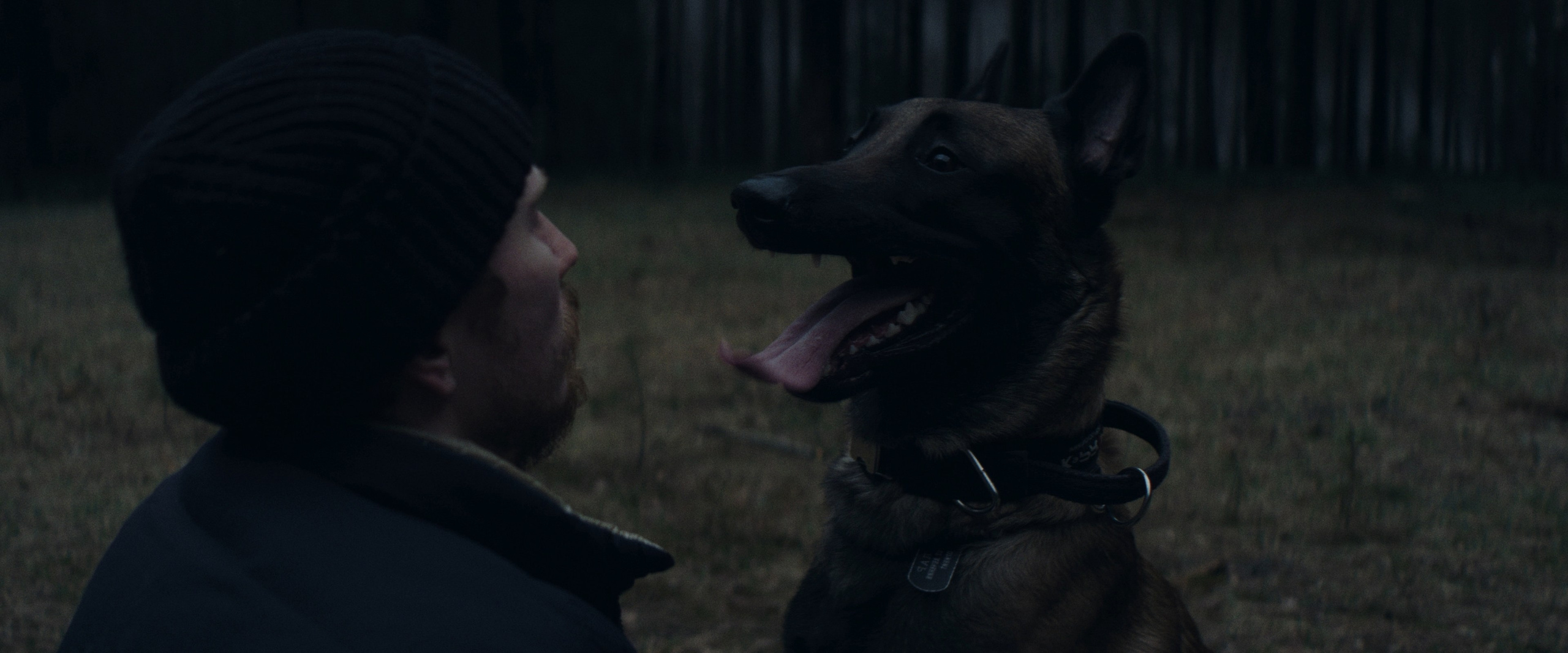 «ЗВЕРЬ» — short film. DANILA KOMKIN — Colorist