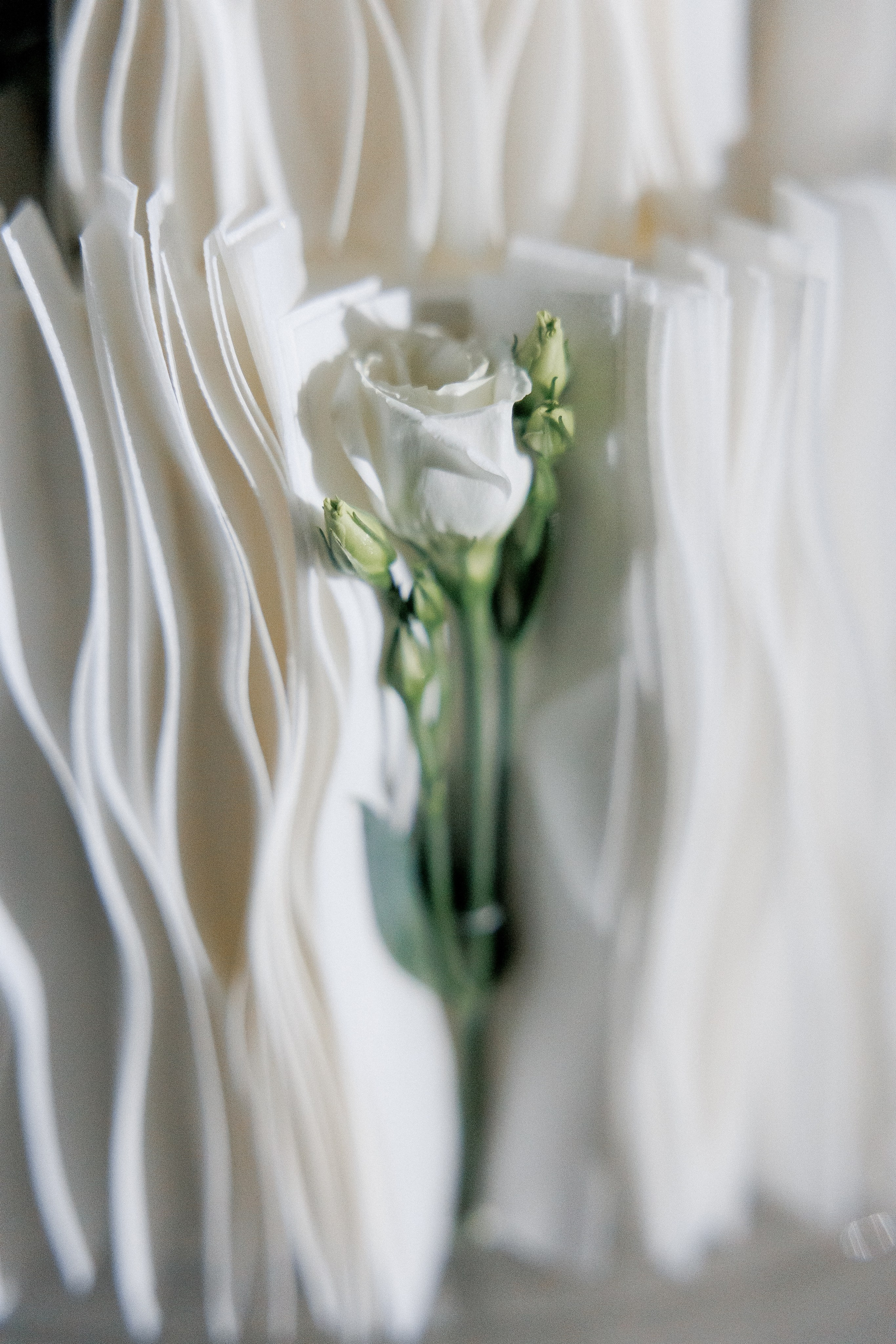 Никита & Аня. Свадебный фотограф Домодедово Москва Катерина Алехина