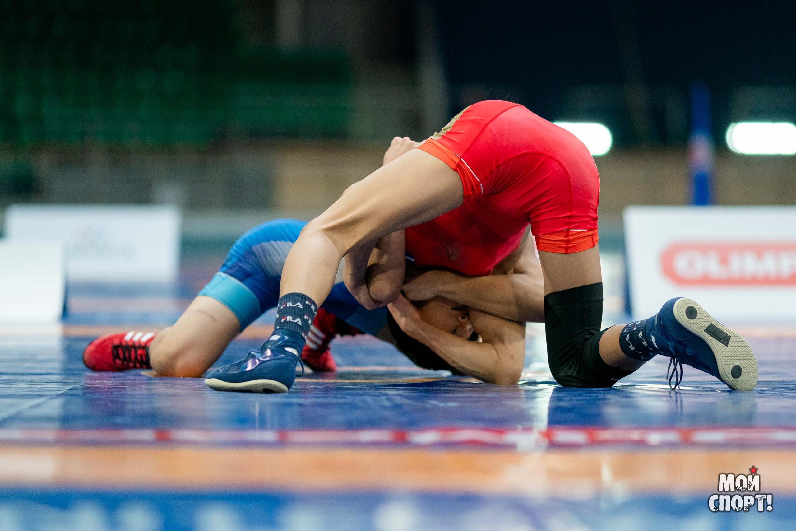 XII Международные соревнования по спортивной борьбе пам. Р. М. Дмитриева. Студия «Мой Спорт!» — все о спорте в Якутии