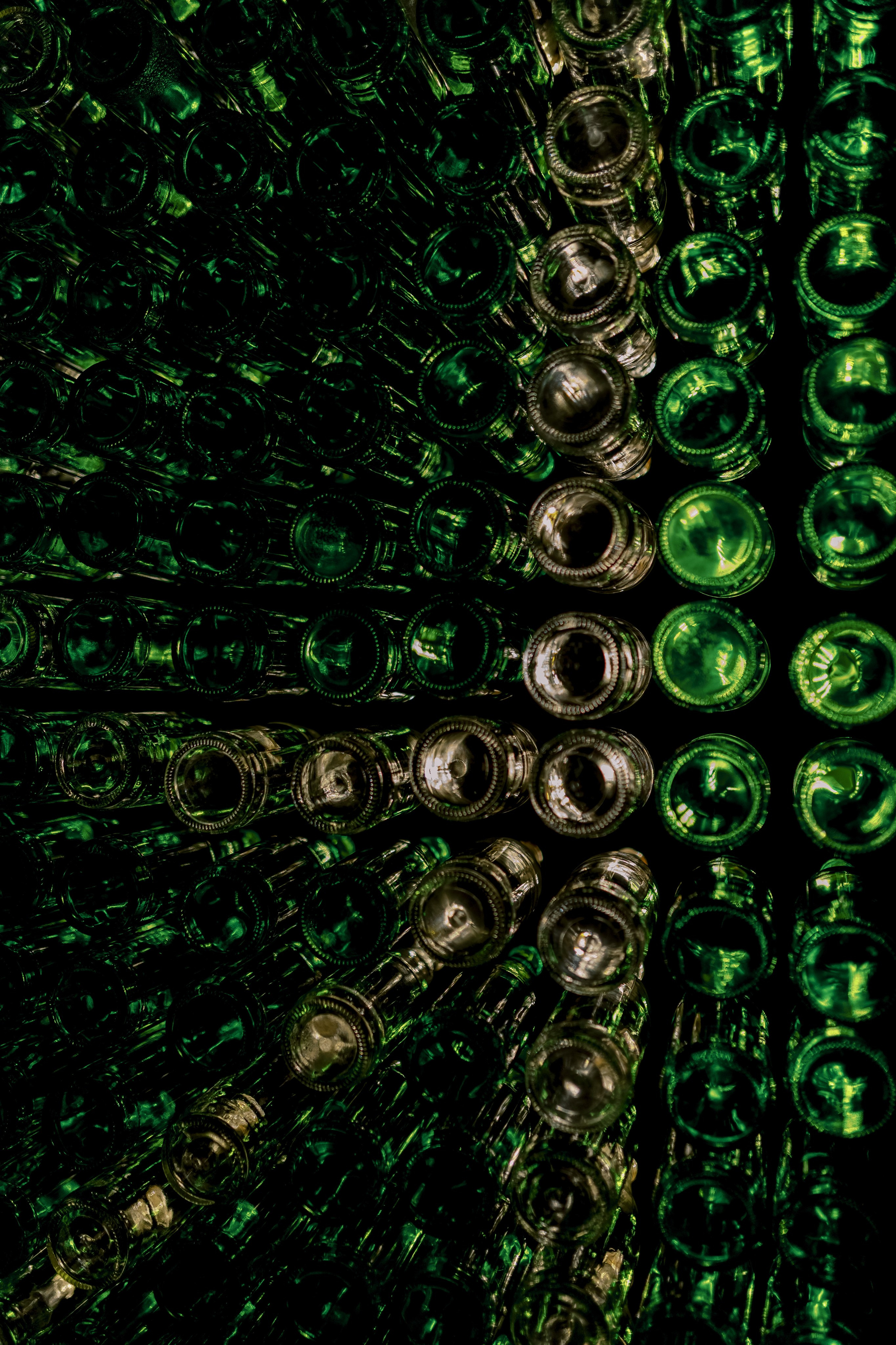 Ambassador. Свадебный фотограф в Нальчике Алим Джаппуев