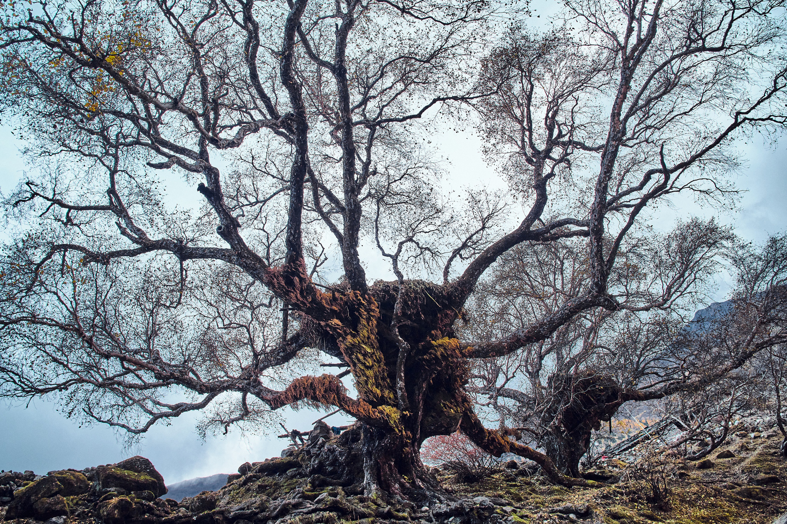 Непал. Фото