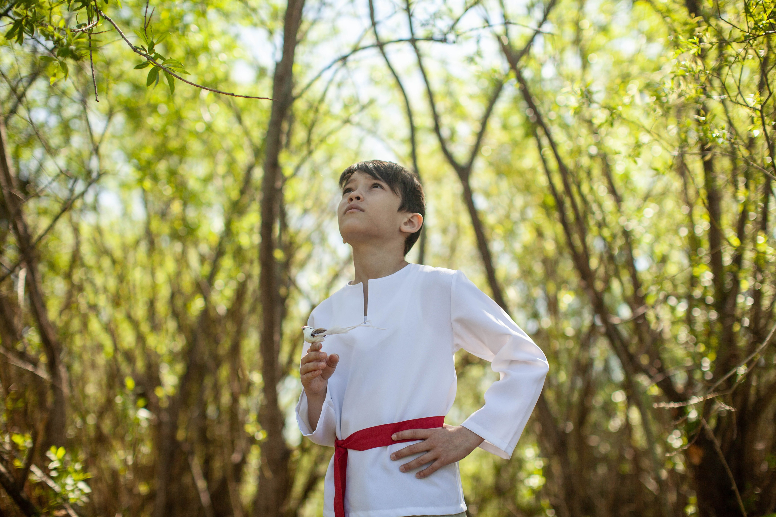 Летний день. Art my Pho