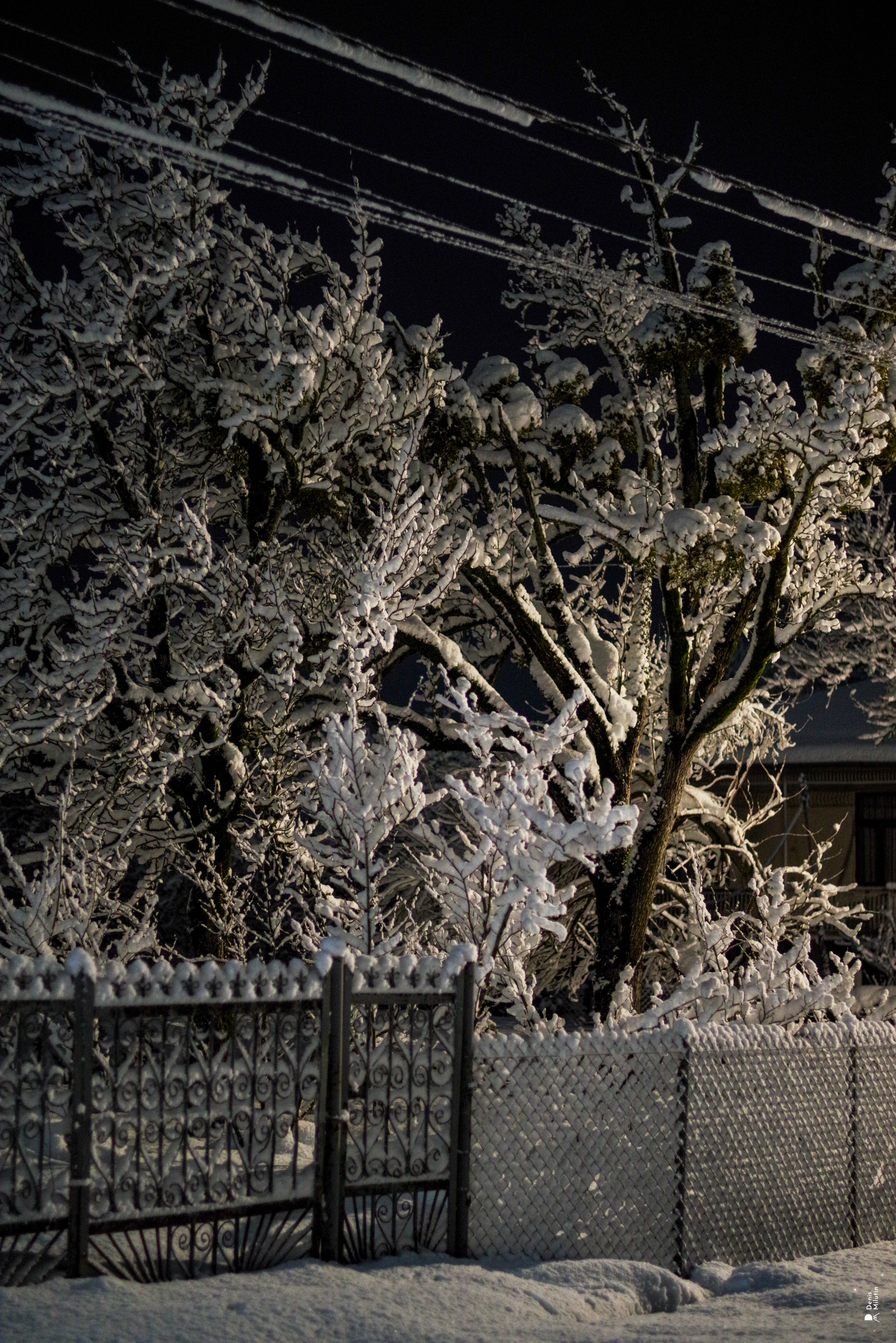 Ночь в Менджи. Портретный фотограф Денис Милютин