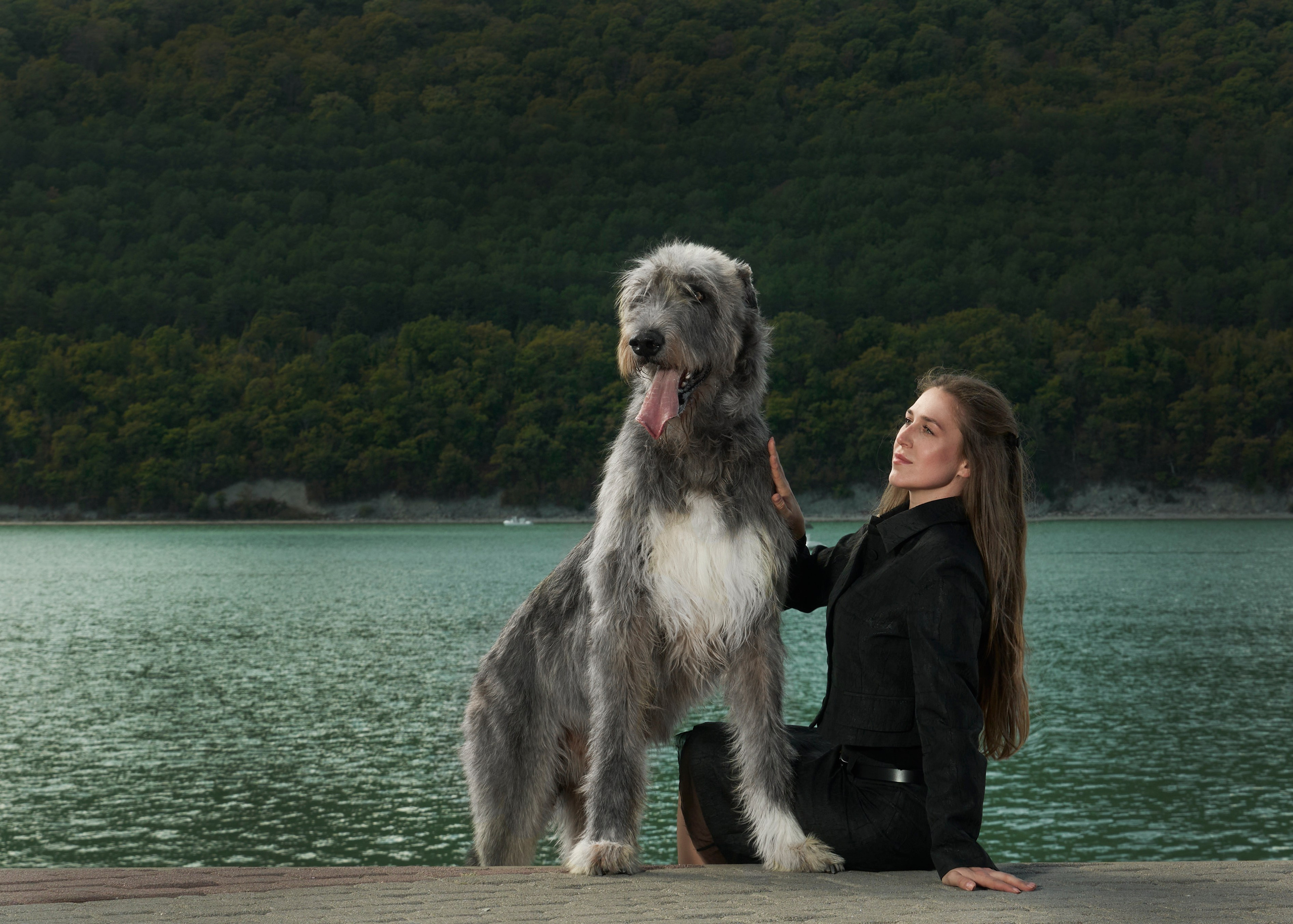 Собаки и люди