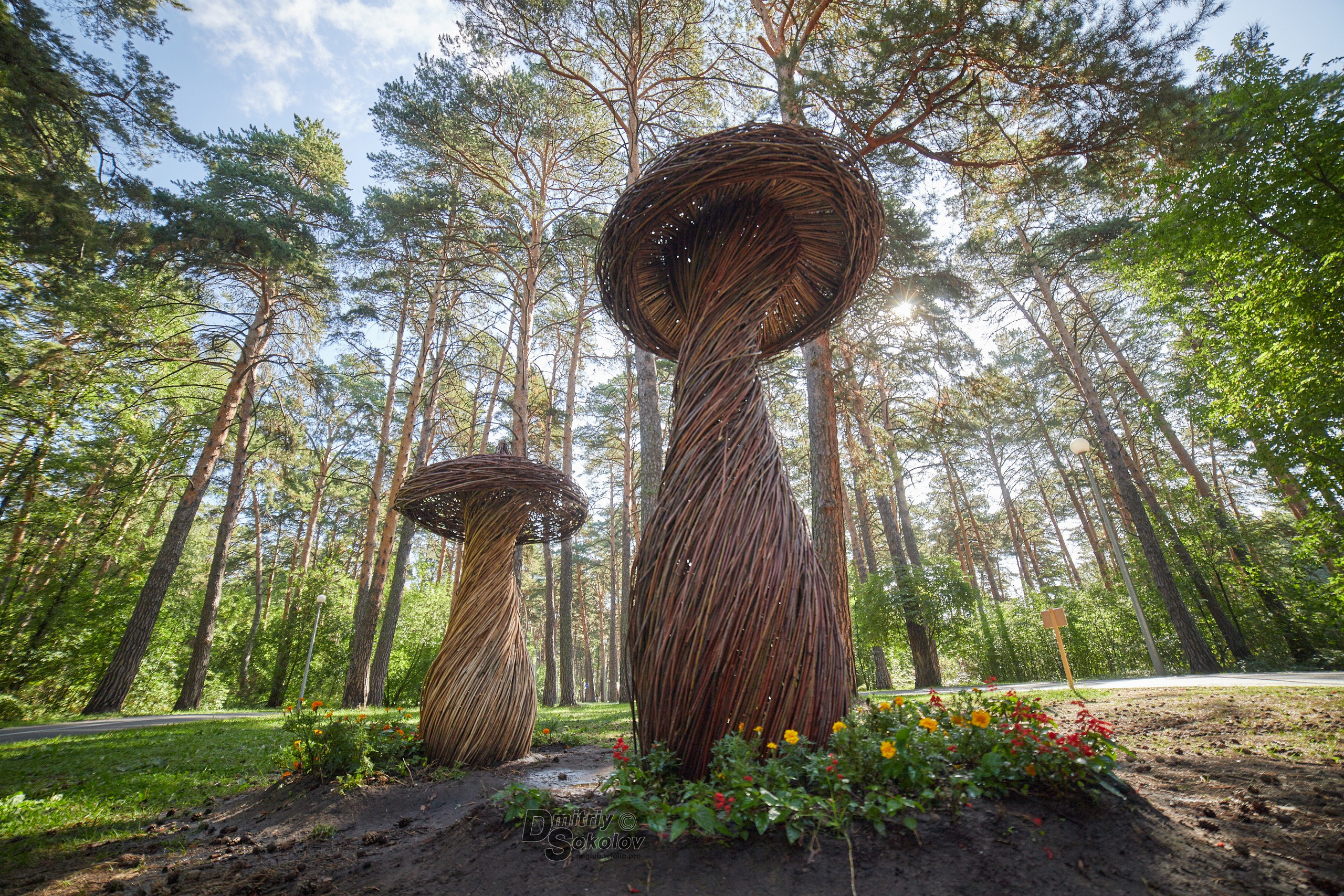 Портретный и репортажный фотограф в Тюмени | Соколов Дмитрий