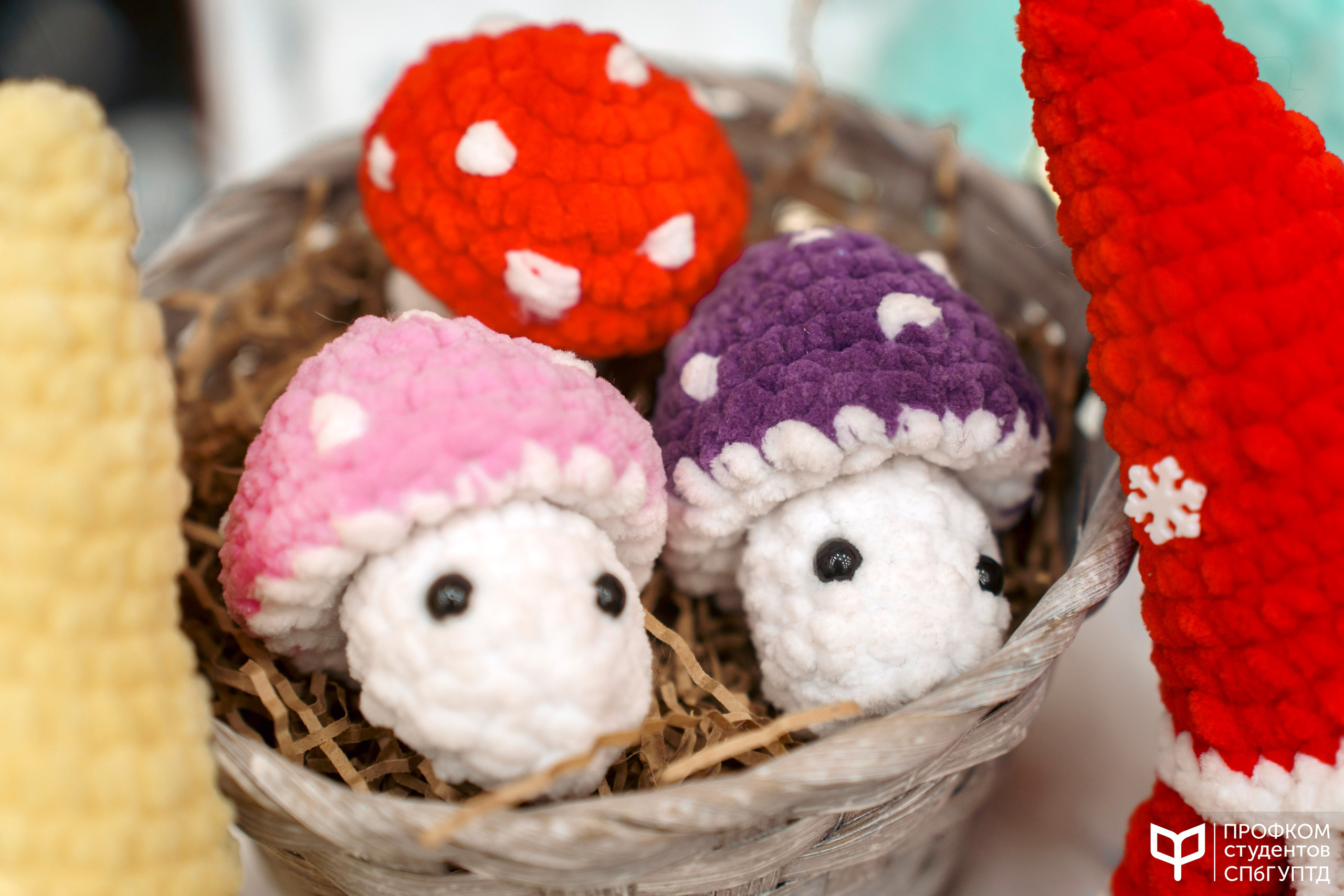 Новогодняя ярмарка 2024. Фотограф в Санкт-Петербурге Ибрагимова Алина