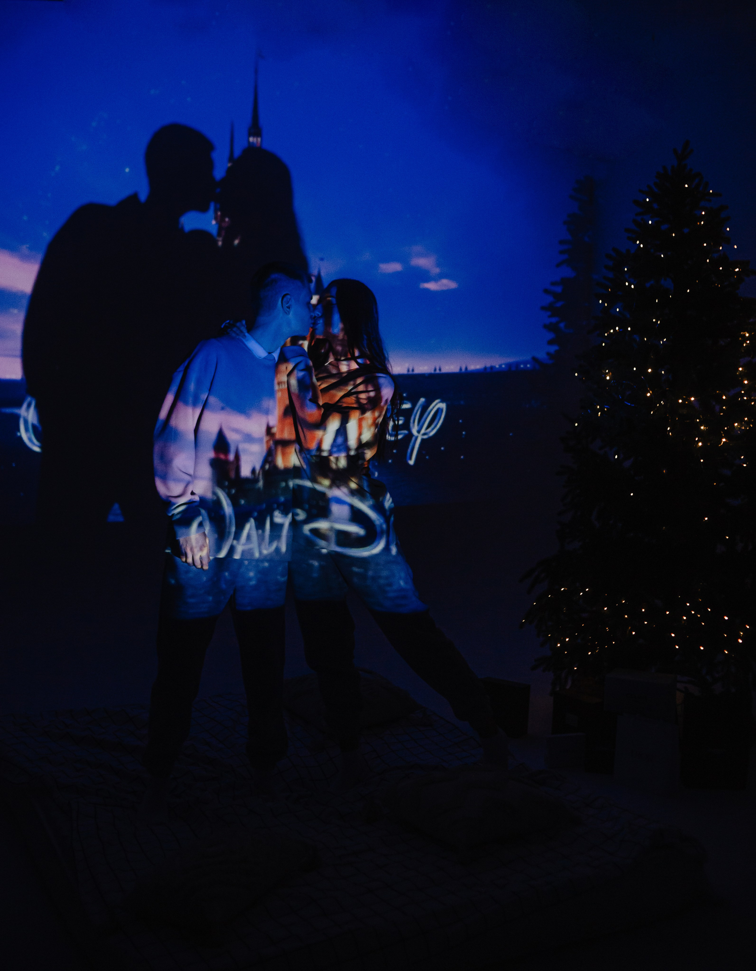 Теплая, с проектором. Фотограф Брянск