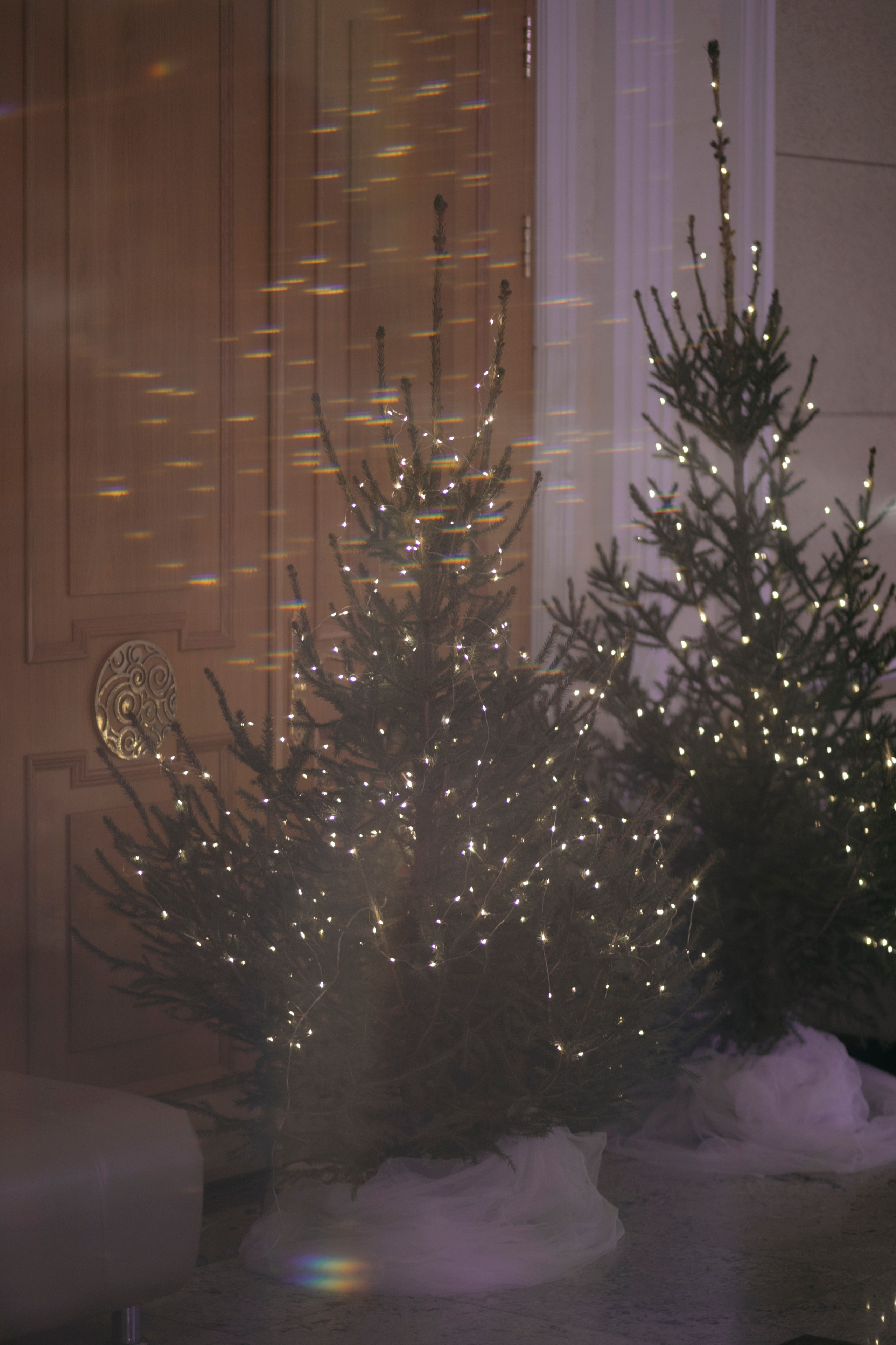 Ball. Фотограф Астафьева Мария