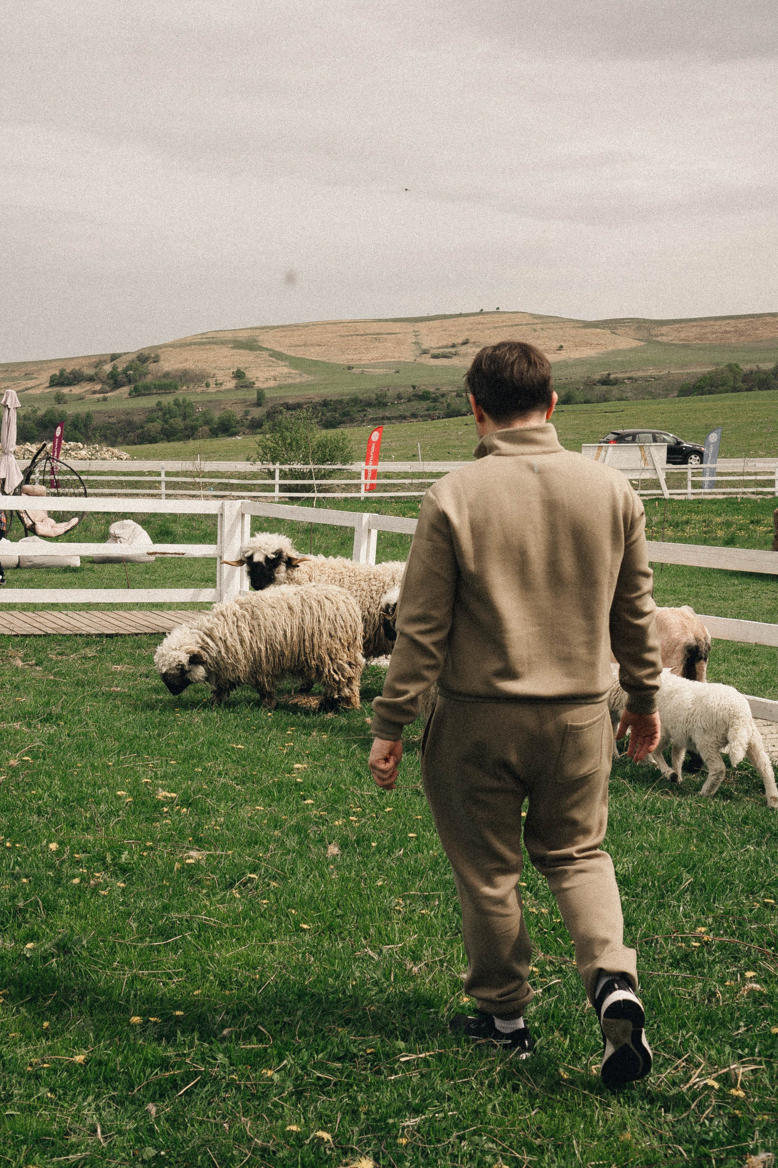 Ферма Альпак. Профессиональный фотограф, Санкт-Петербург — Виктория Богомолова