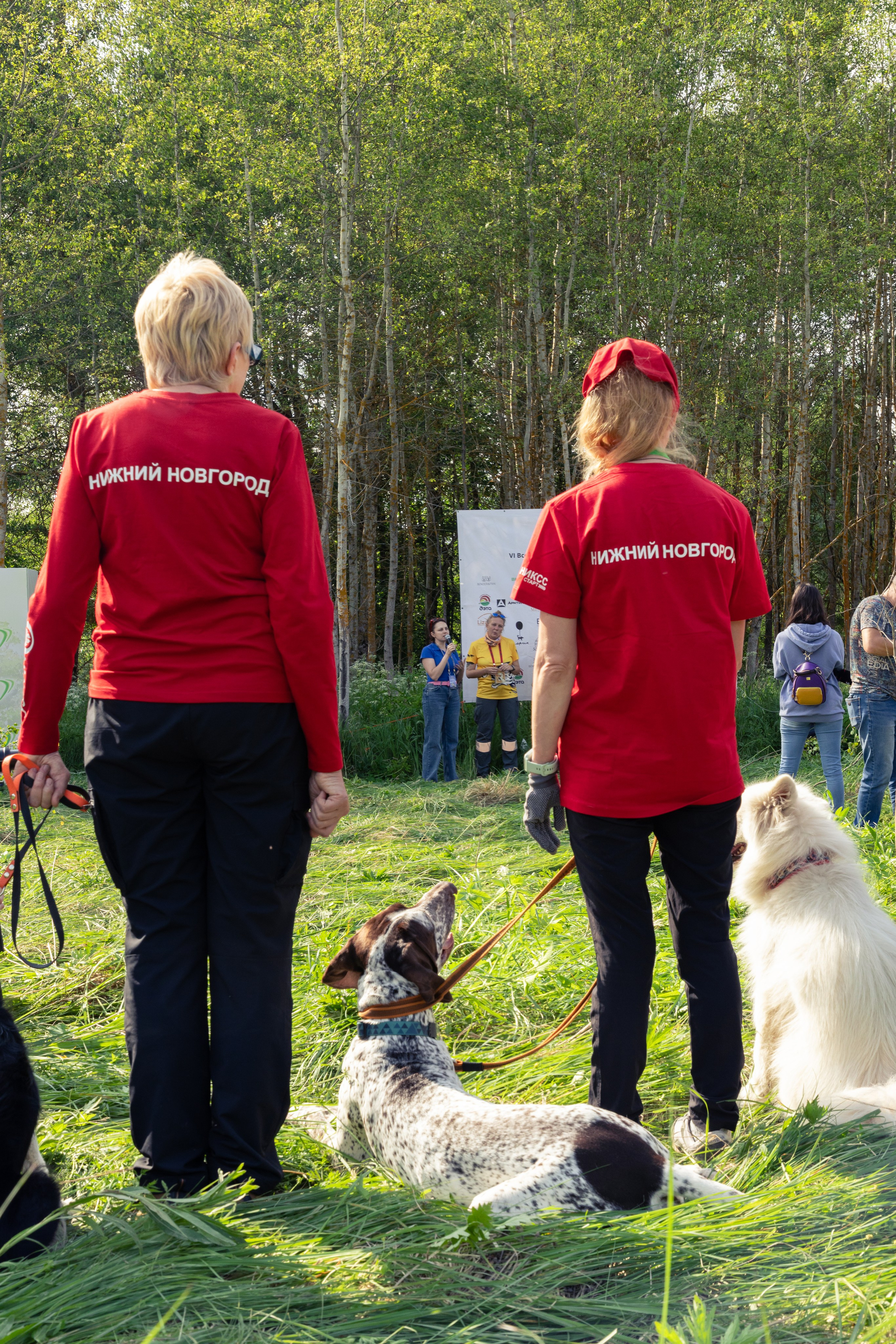 ДПСО «ЛизаАлерт». Главная