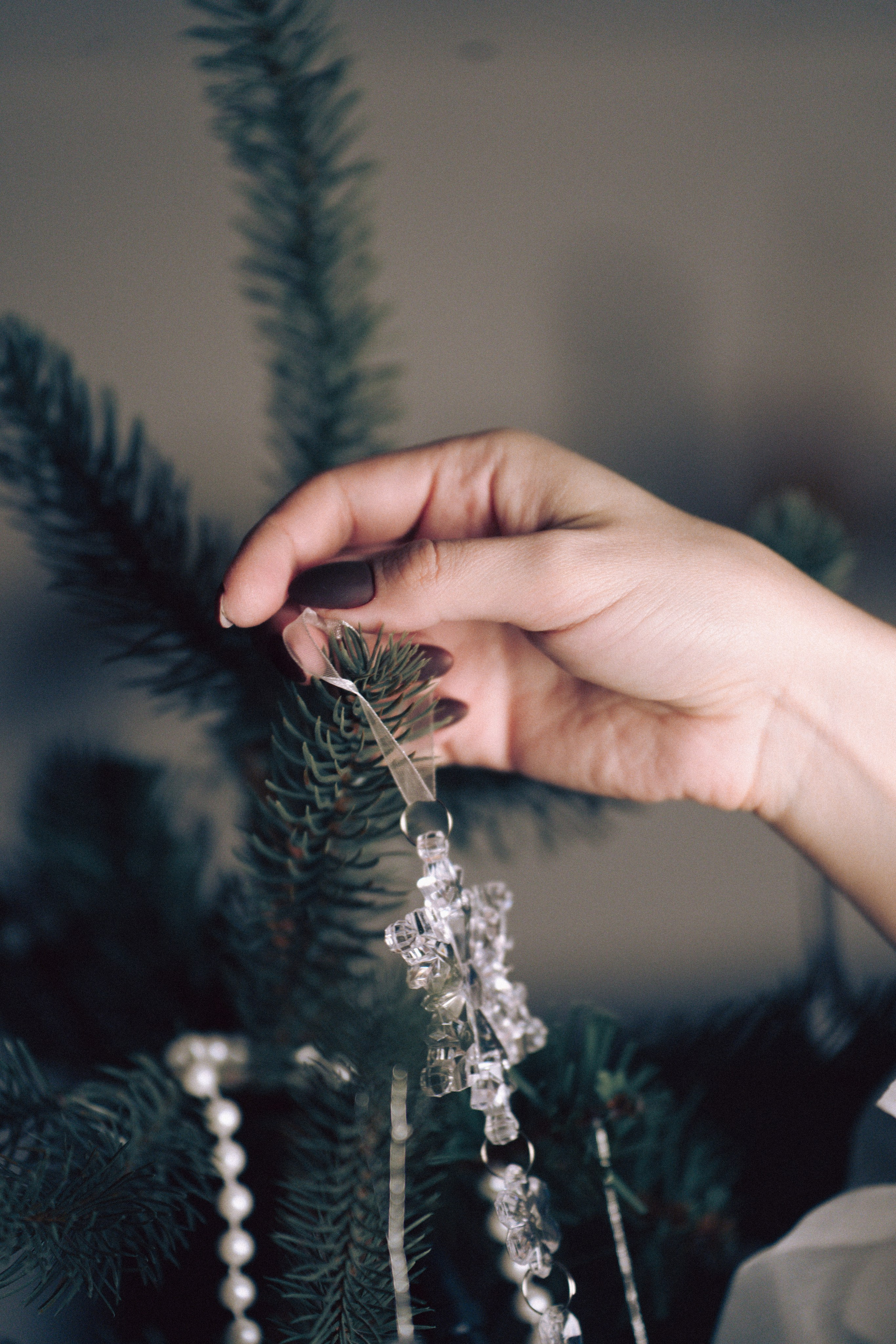 НОВОГОДНЯЯ ФОТОСЕСИИЯ В СТУДИИ ДЛЯ ДЕВУШКИ И ПРОГУЛКА ПО ЧЕРНЫШЕВСКОЙ. Профессиональный фотограф, Санкт-Петербург — Виктория Богомолова