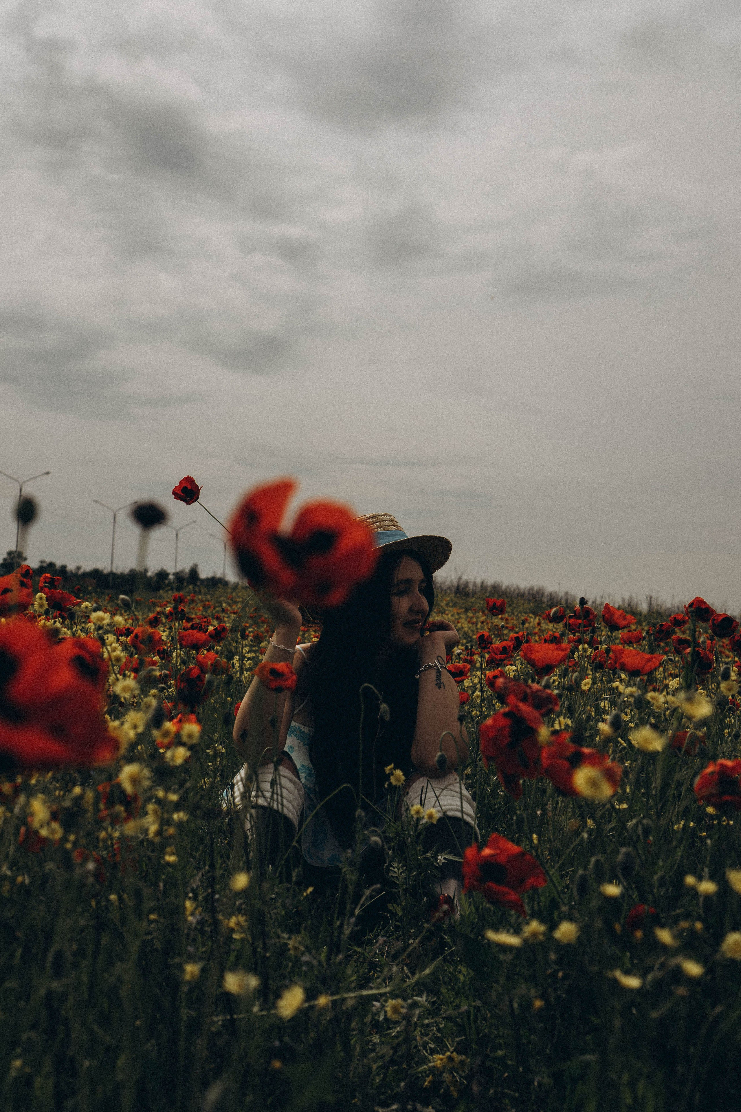 Цветочная поляна. Профессиональный фотограф, Санкт-Петербург — Виктория Богомолова
