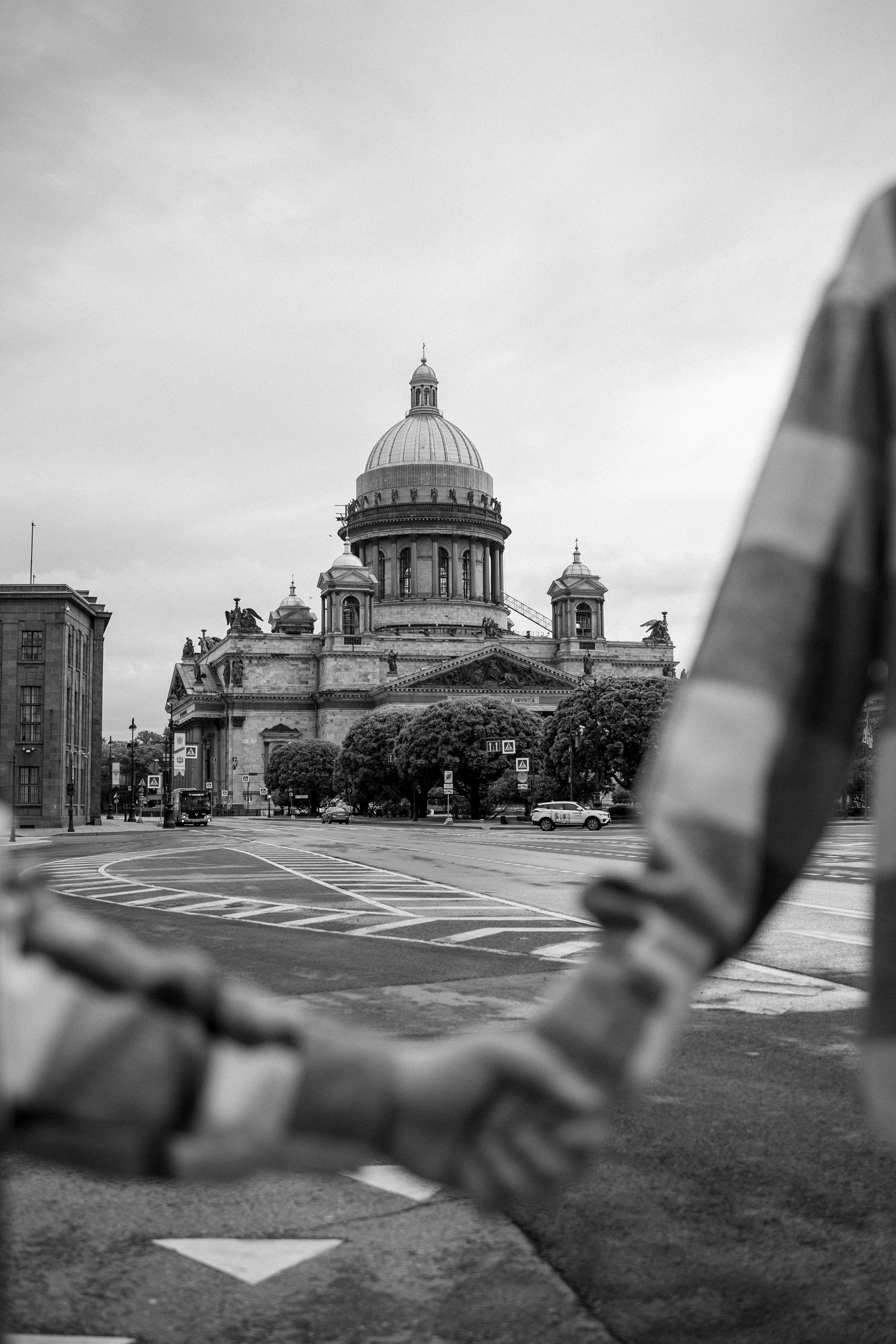 Сириус и его семья. Фотограф — Анималист | Санкт-Петербург
