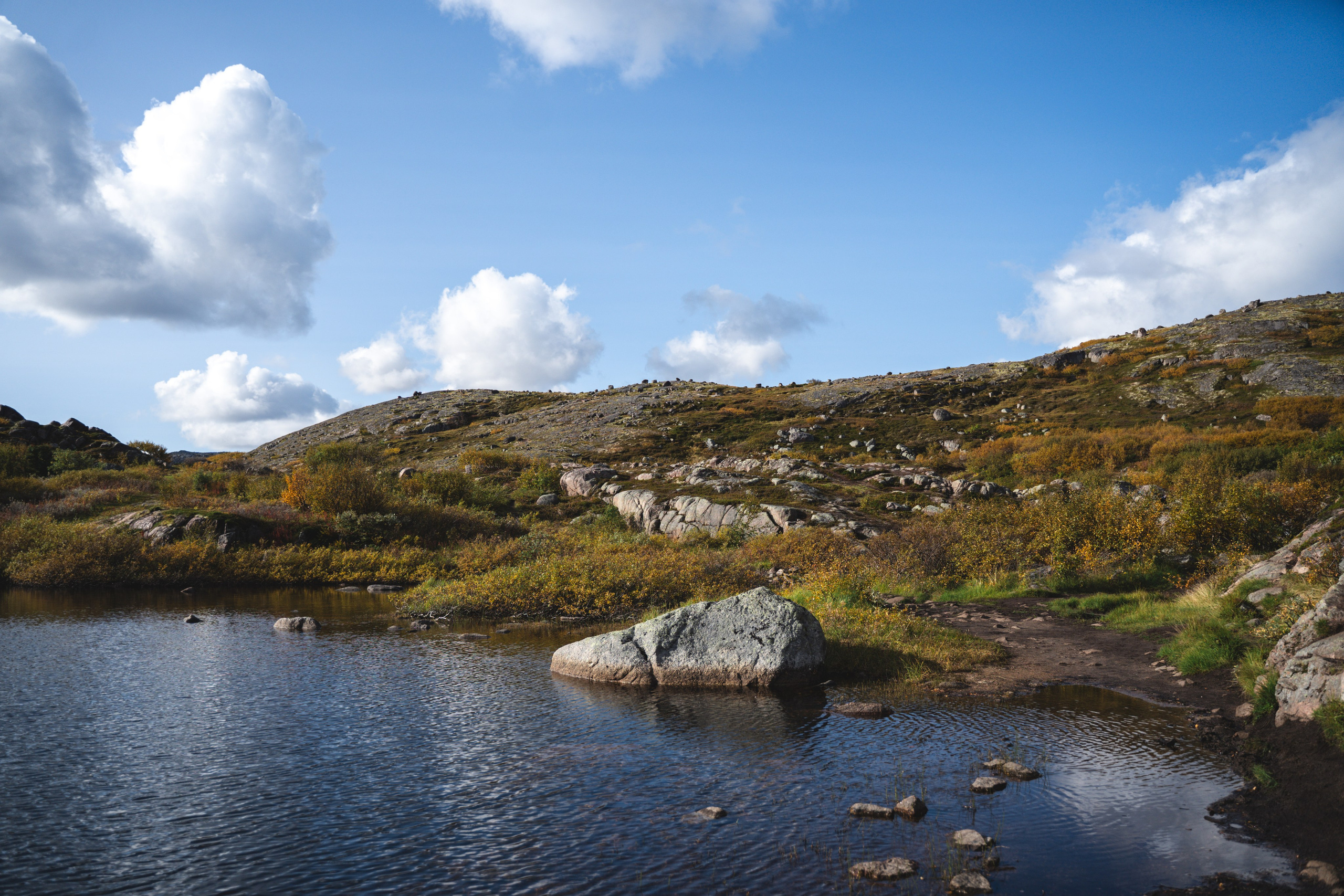 Териберка 2023. Фотограф Ольга Пучкова