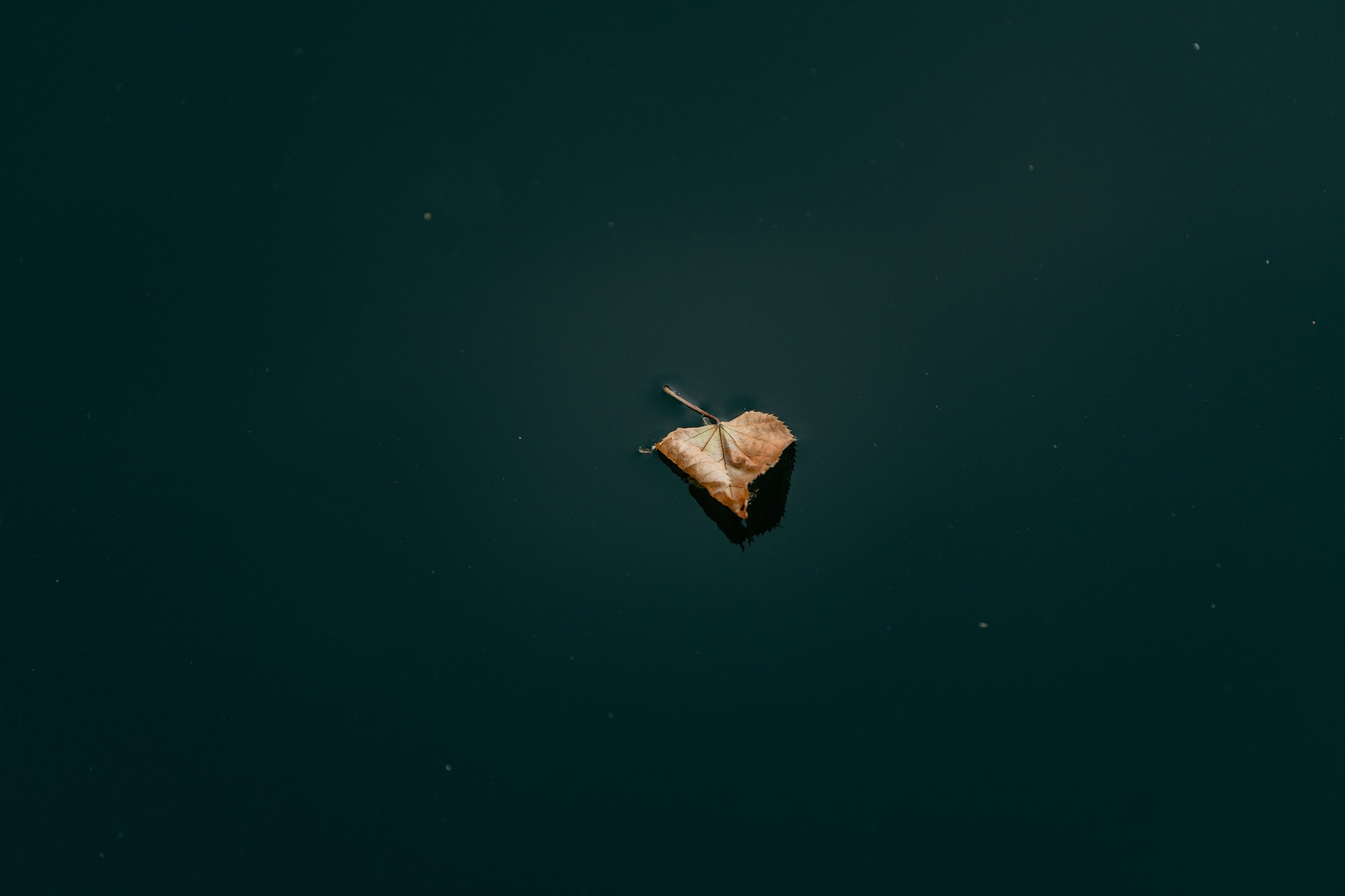 Свадьба Челны Пихта. Свадебный Фотограф Казань Челны