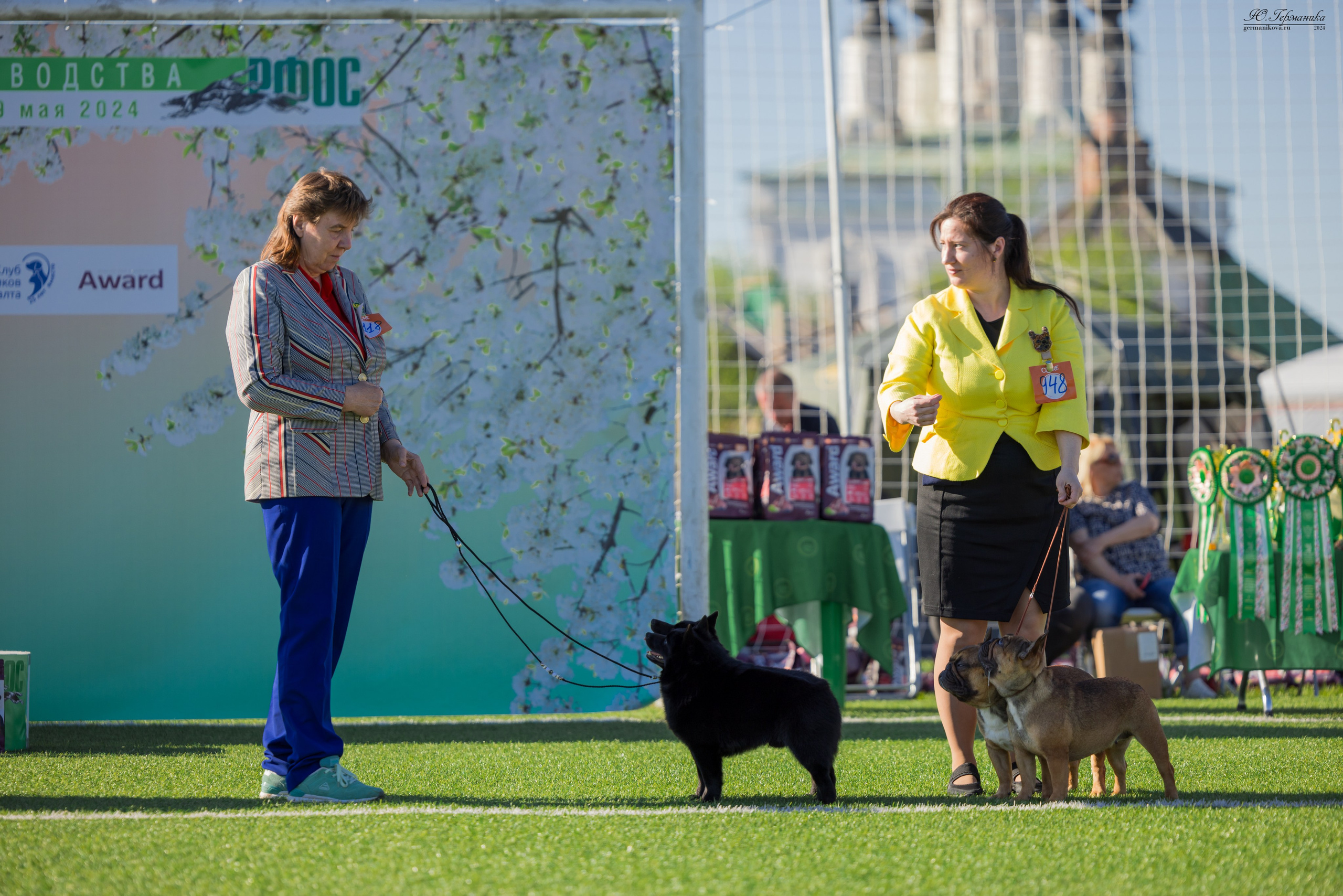 Суздаль 18-19.05.2024. Фотограф-анималист Юлия Германика