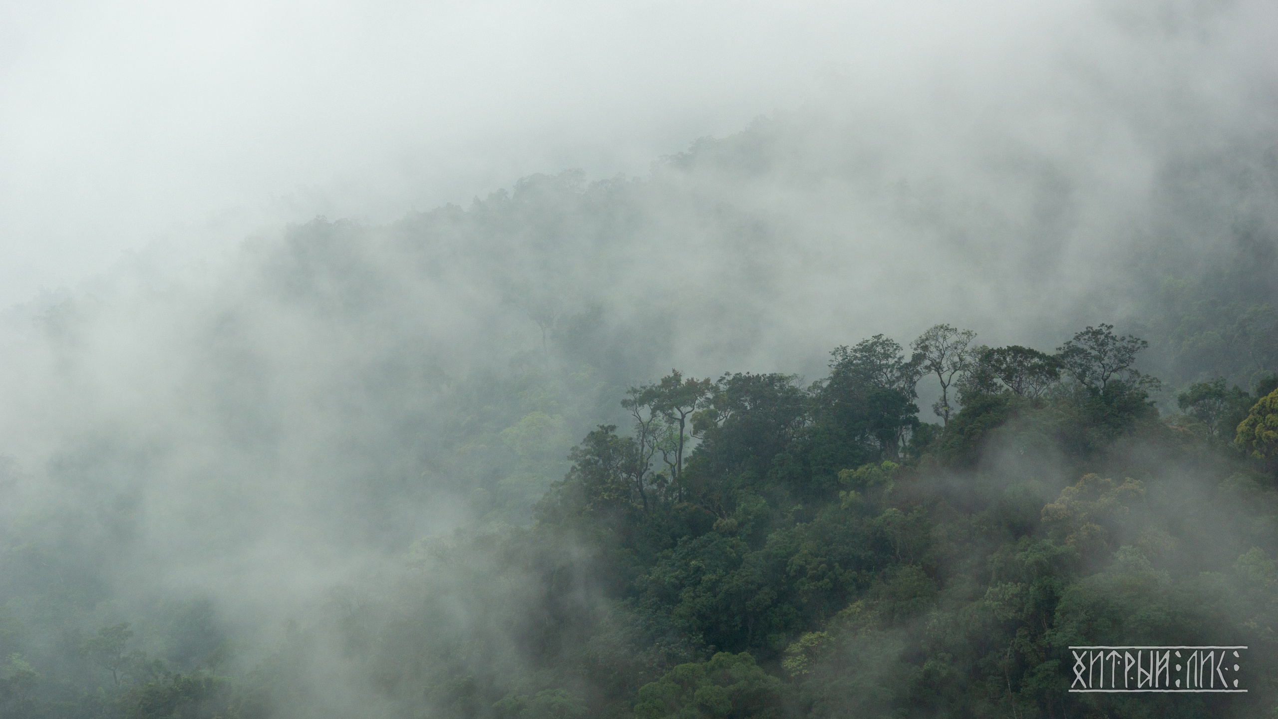 Вьетнам. Фотограф-путешественник Самойлов Максим «Sly Fox»