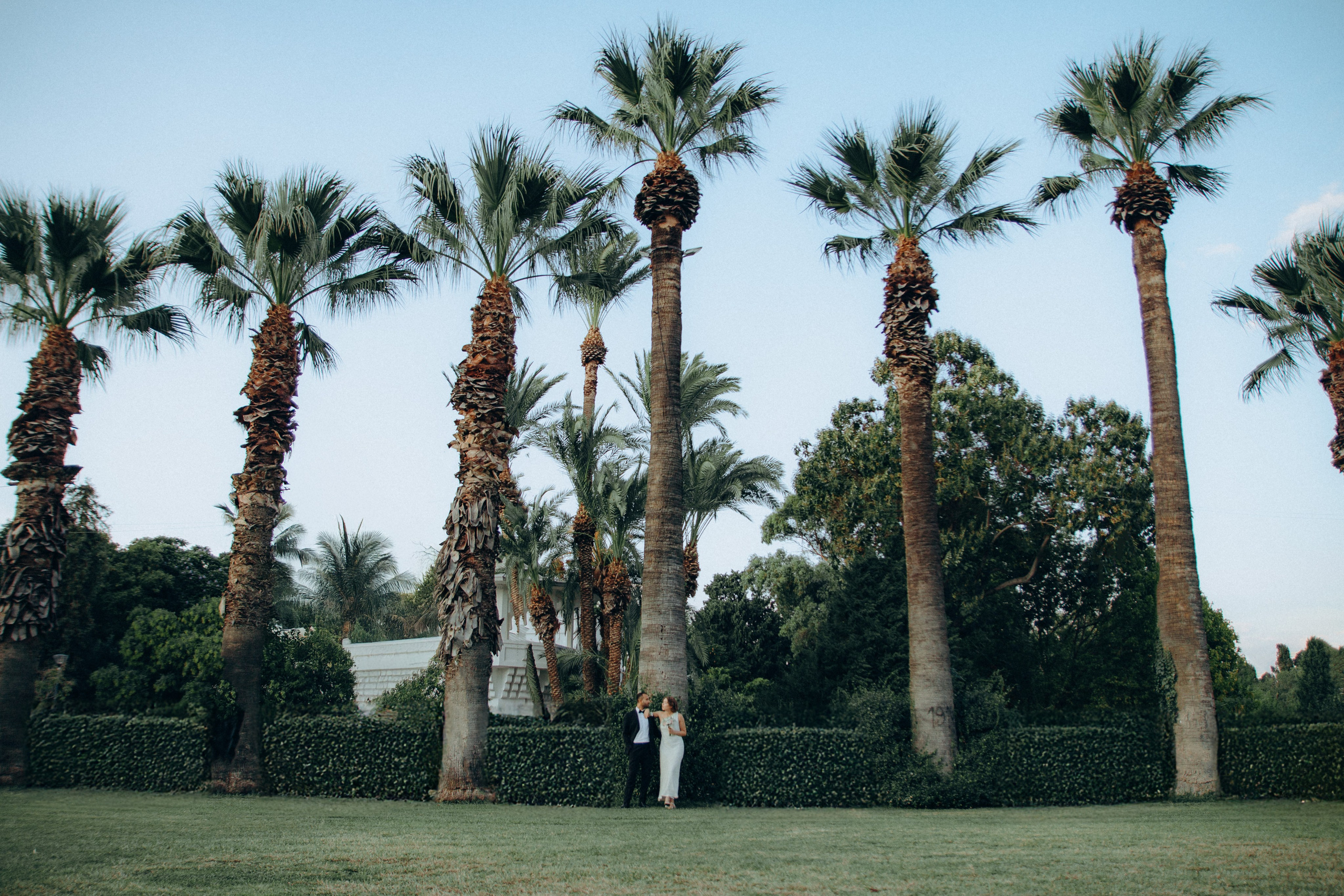Tanya & Mert. İrandek. Fotoğrafçı. İzmir