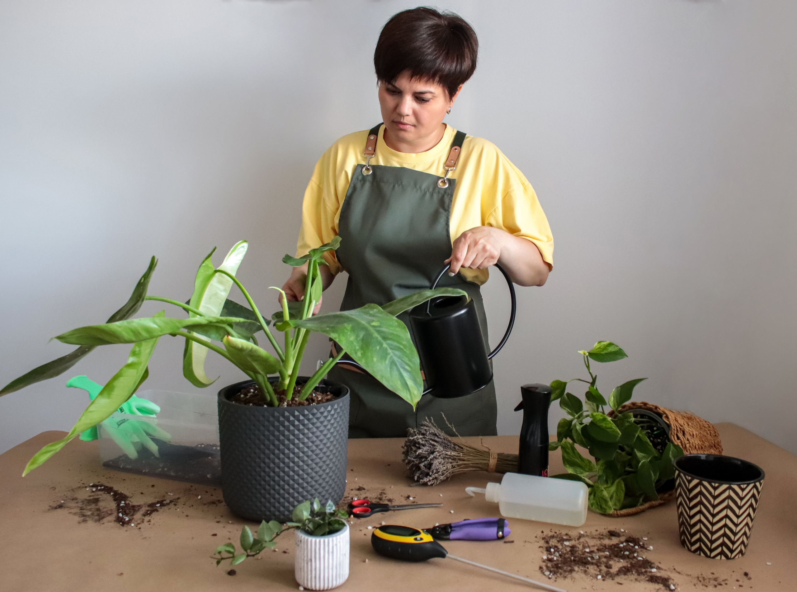 Контент съёмка для фитодизайнера. Фотограф Химки Анна Татарских