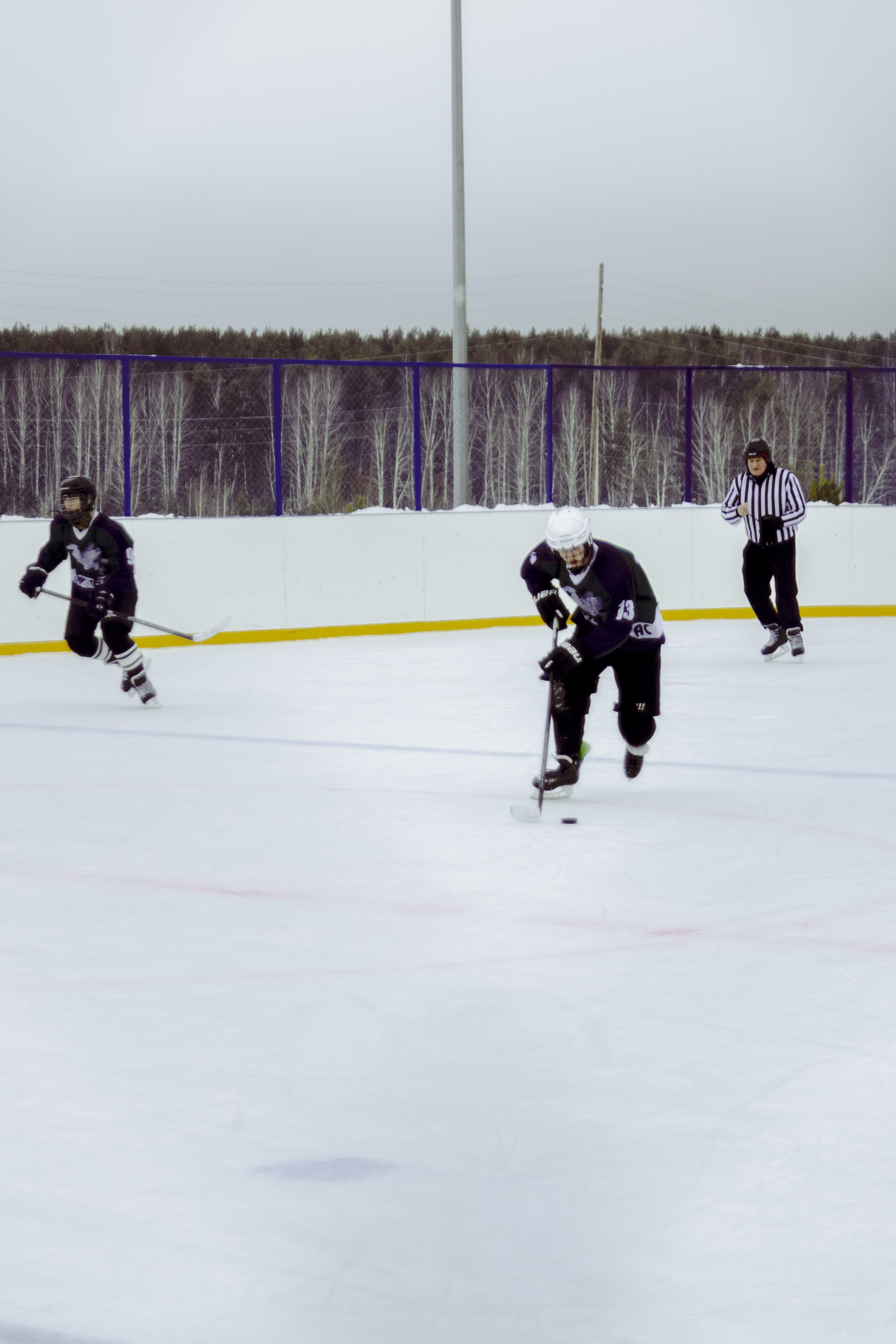 Хоккей 29.12.2024