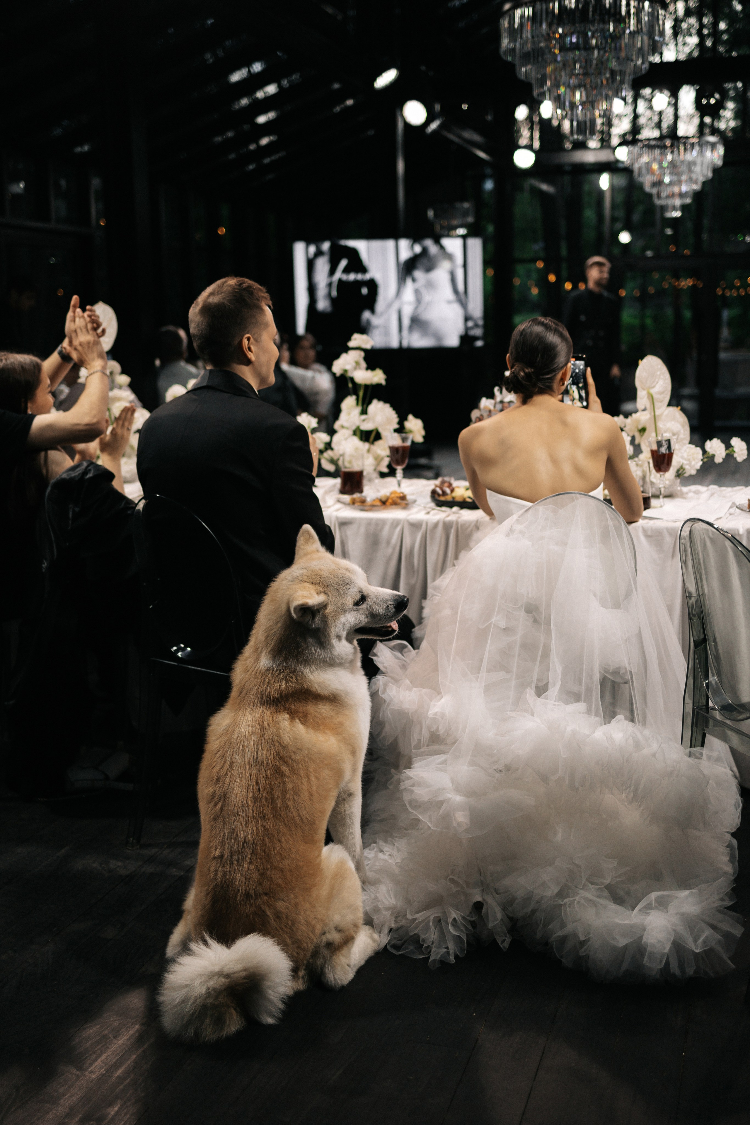 Дарья и Никита. Свадебный фотограф Москва Мотеюнайте Виктория