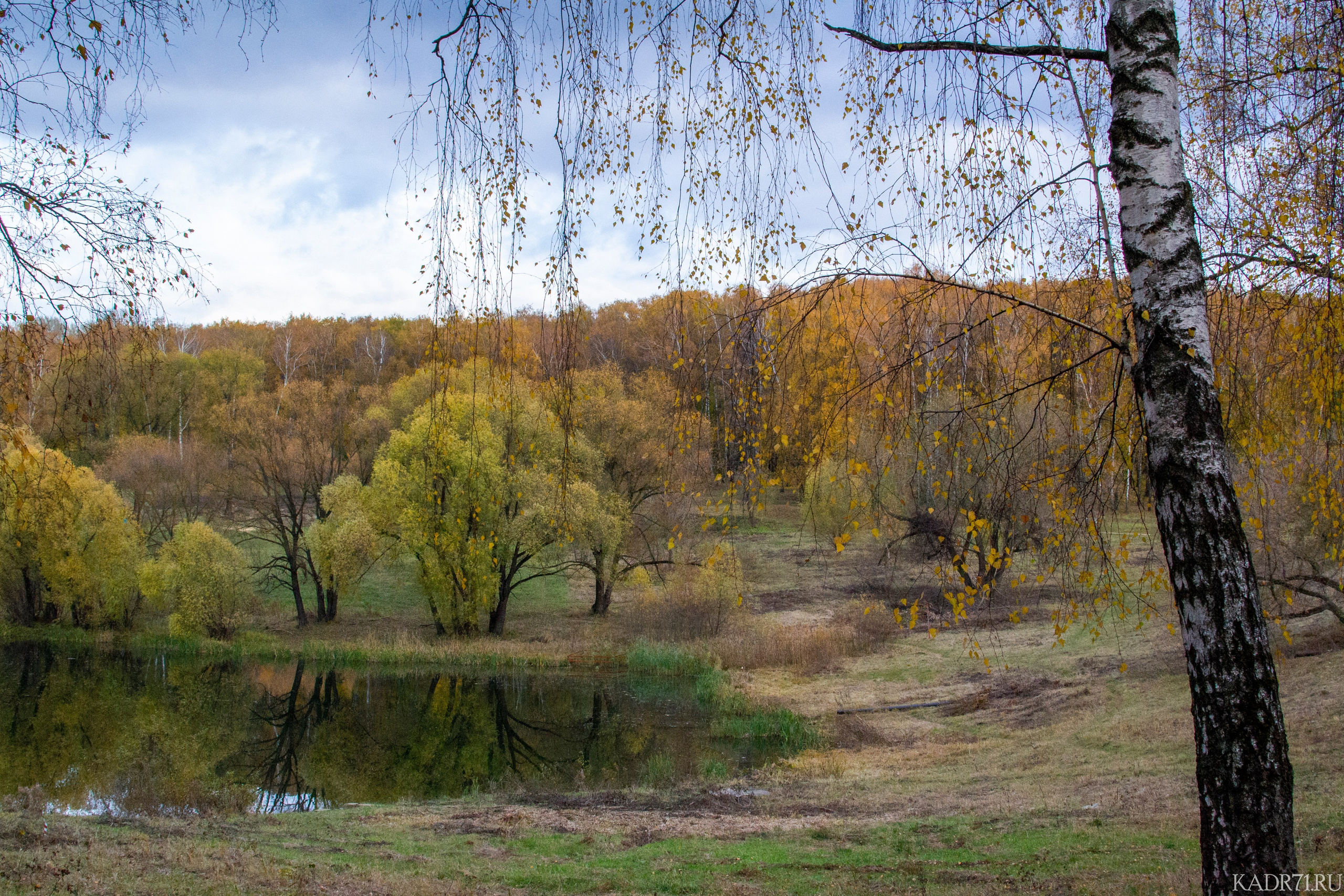 Центральный парк культуры и отдыха им. П. П. Белоусова. Фотограф в Туле Крупский АнДРей. Фотостудия «КАДР71» в Туле