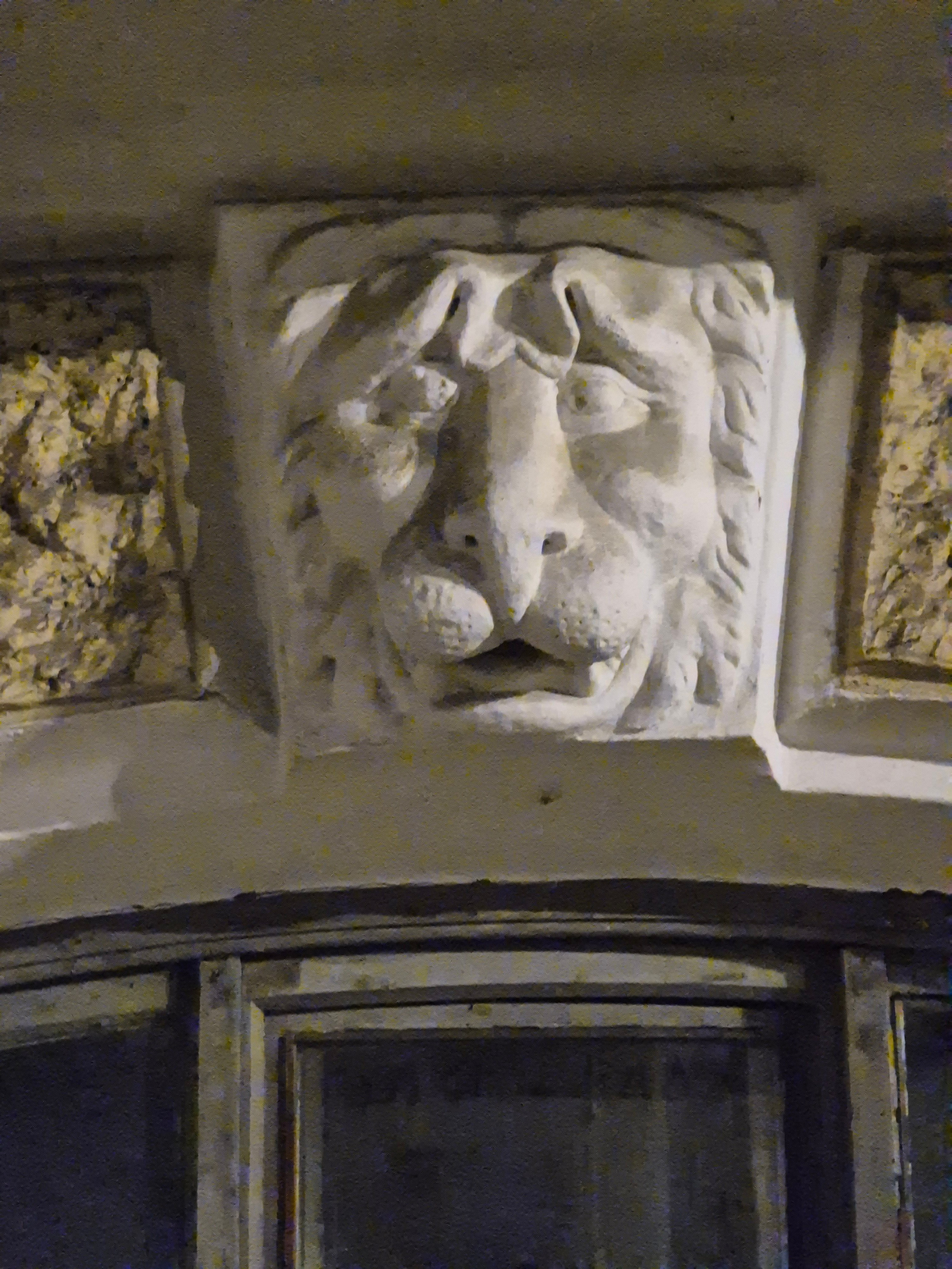 Грустный котя на набережной