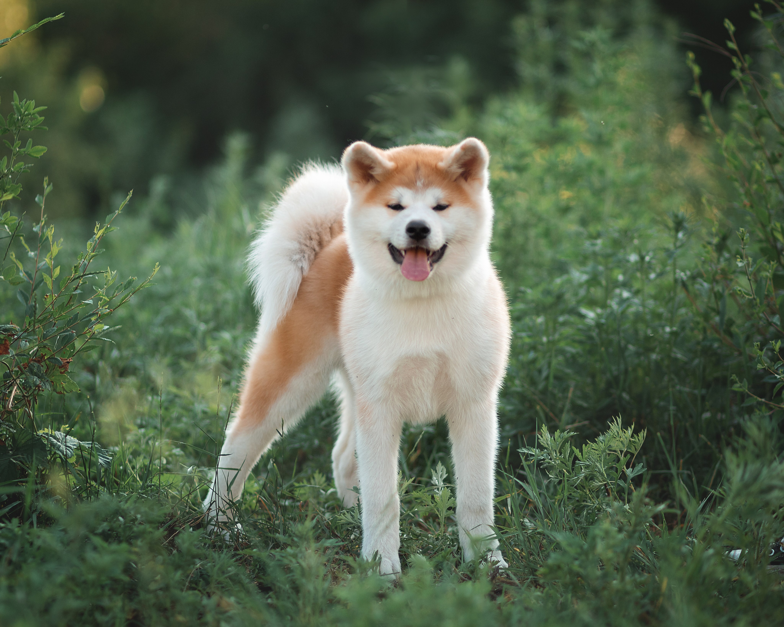 Предыдущие пометы. Алена Попова — фотограф в Хабаровске