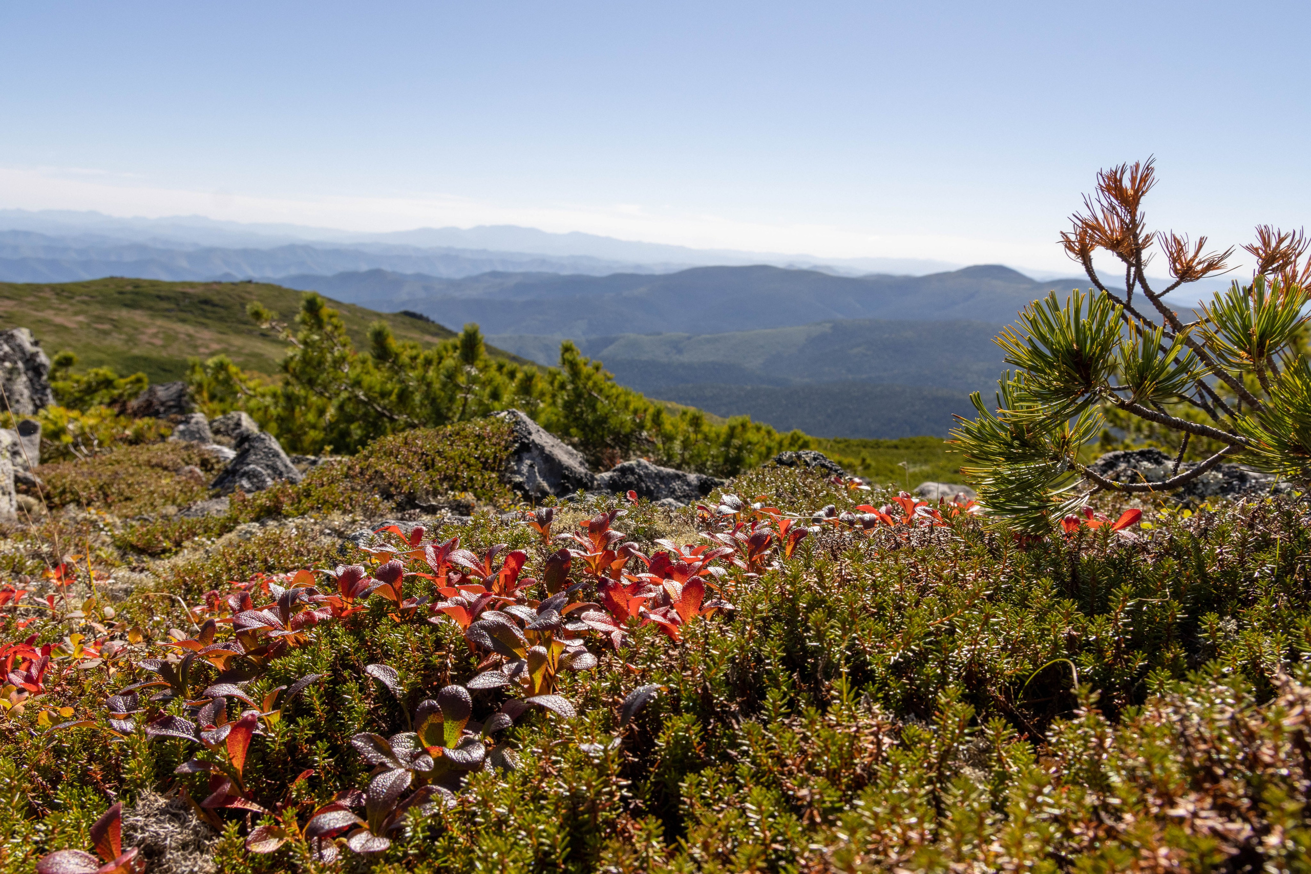 Природа Хабаровского края. Гора Останцовая. Дальний Восток — природа и достопримечательности
