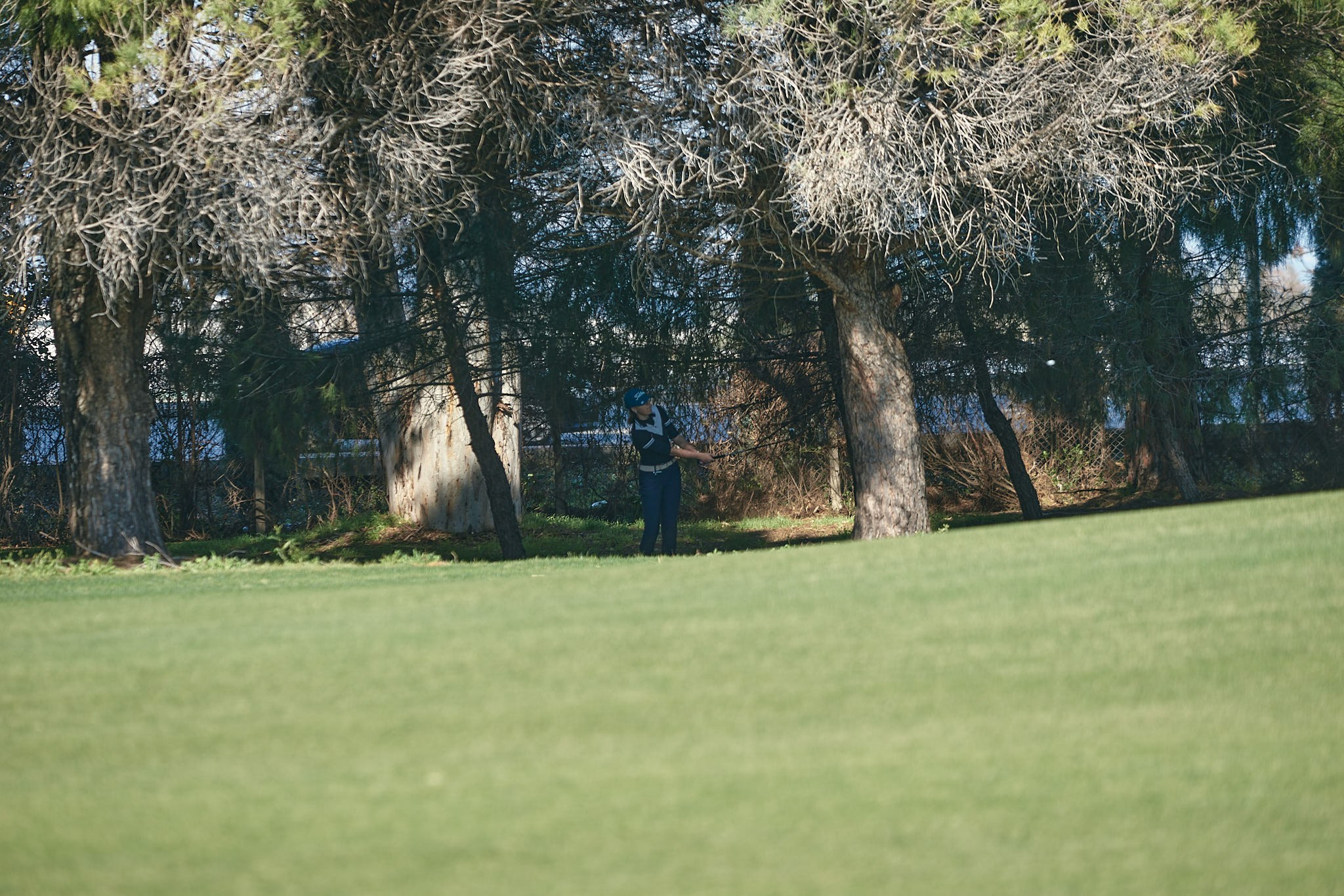 Turkey 2024. Академия гольфа NSU в Москве. Тренировки по гольфу для детей и взрослых, тренировки для новичков