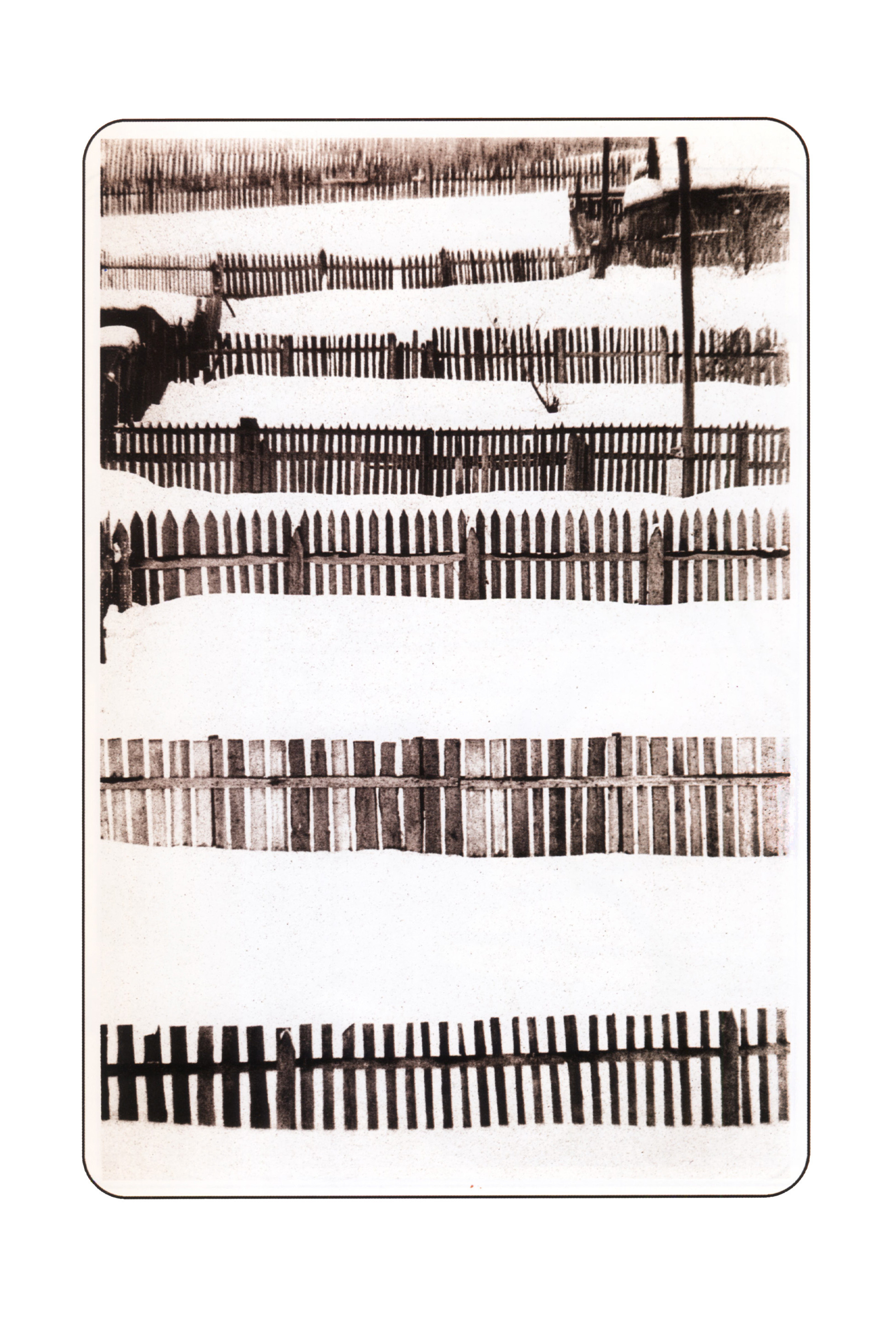 Фотографии. Сергей Михайлович Ландо