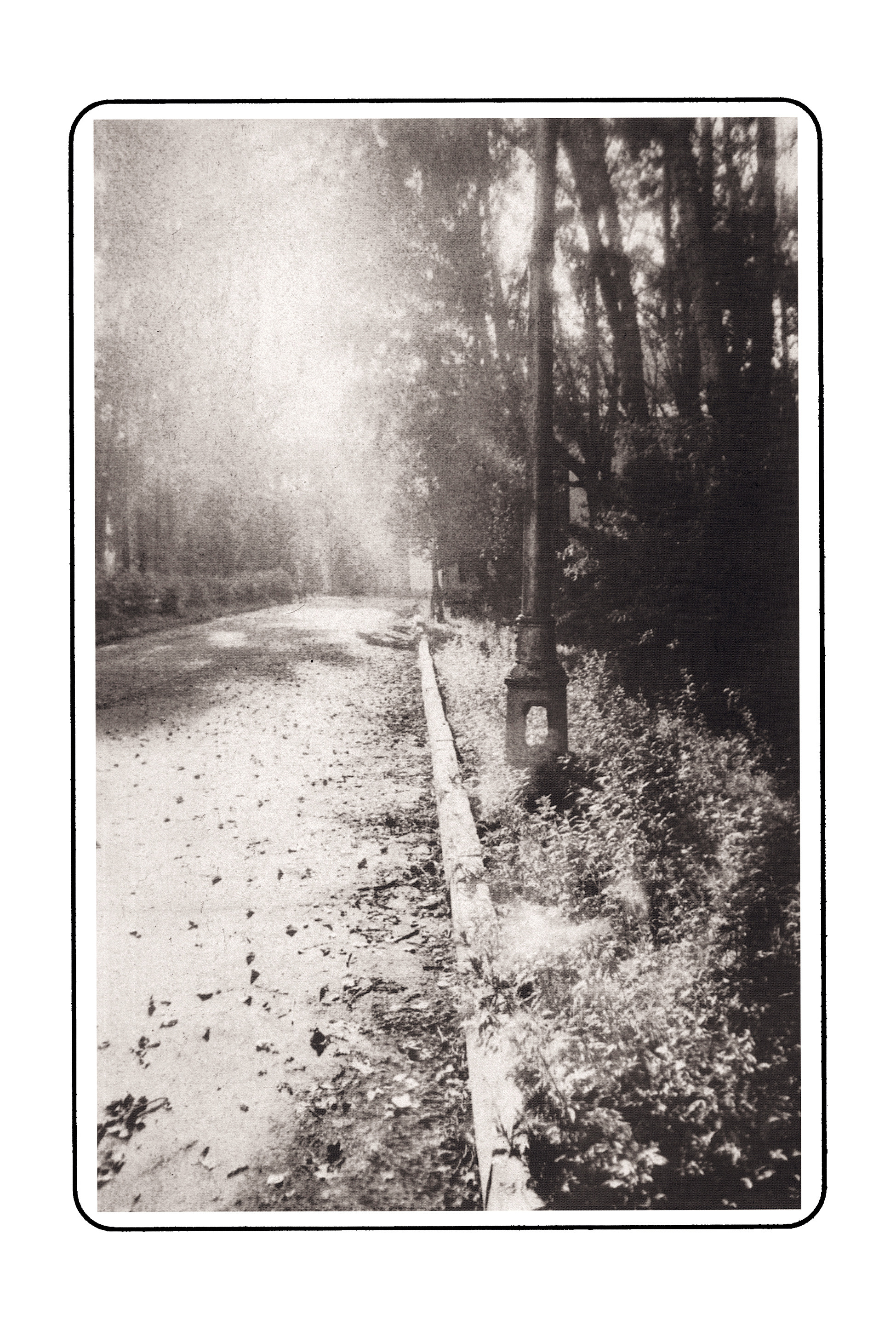 Фотографии. Сергей Михайлович Ландо