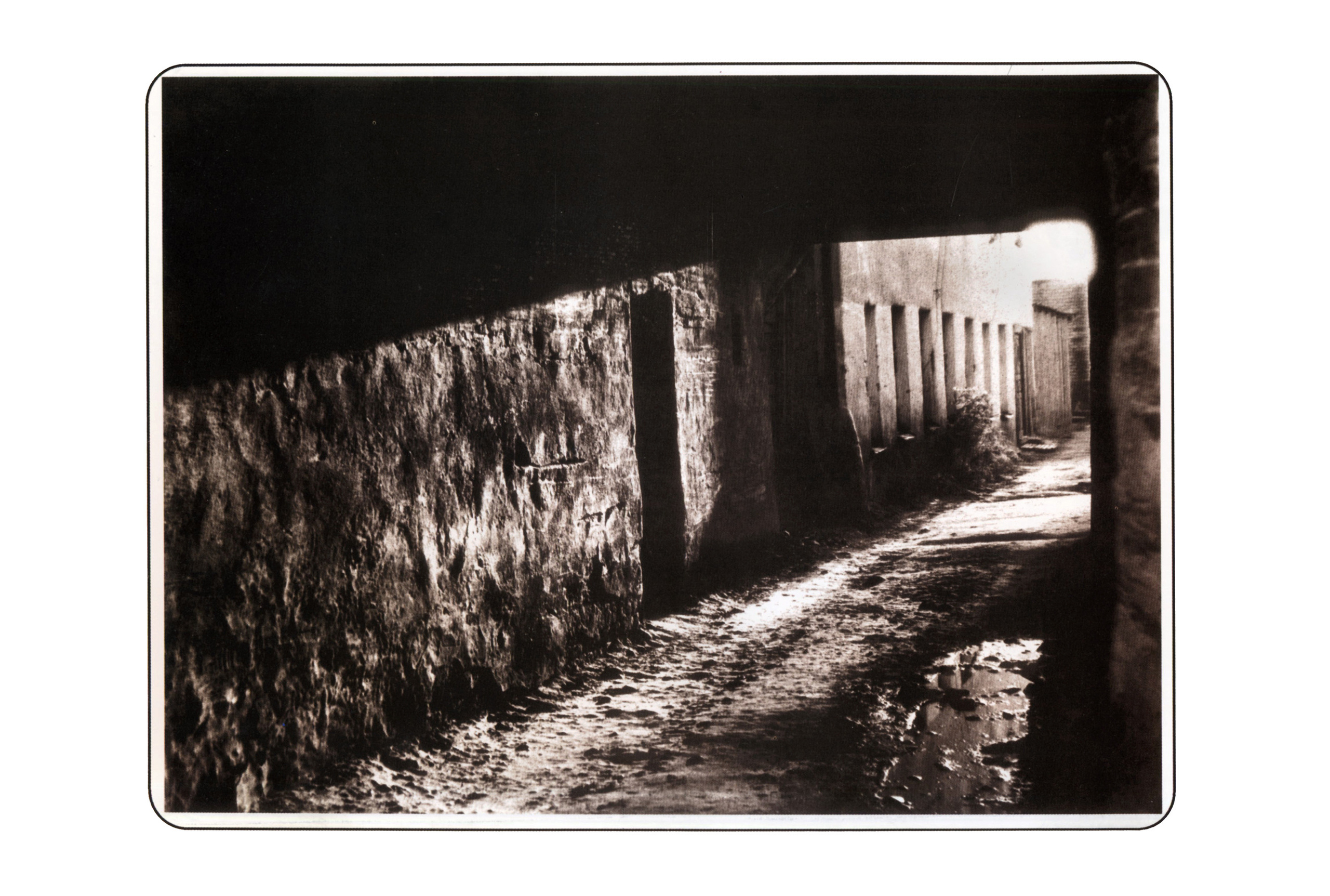 Фотографии. Сергей Михайлович Ландо