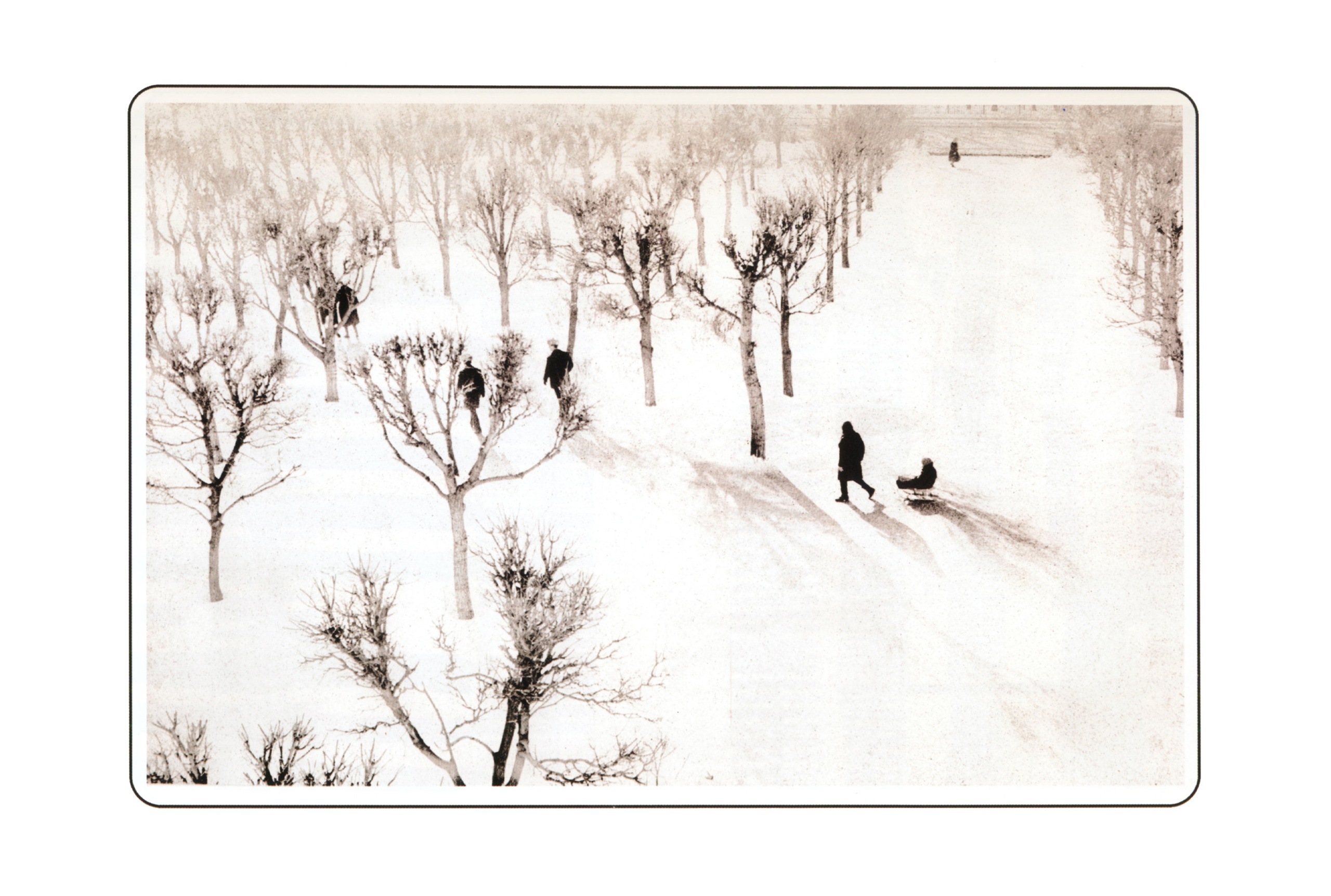 Фотографии. Сергей Михайлович Ландо