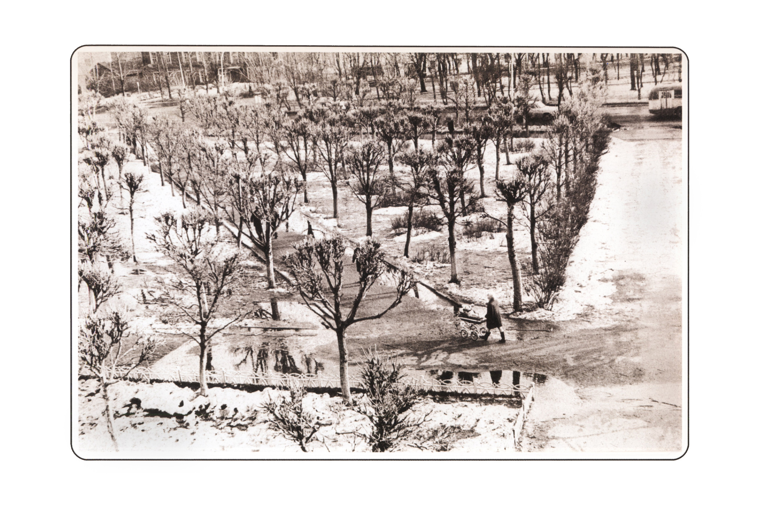 Фотографии. Сергей Михайлович Ландо