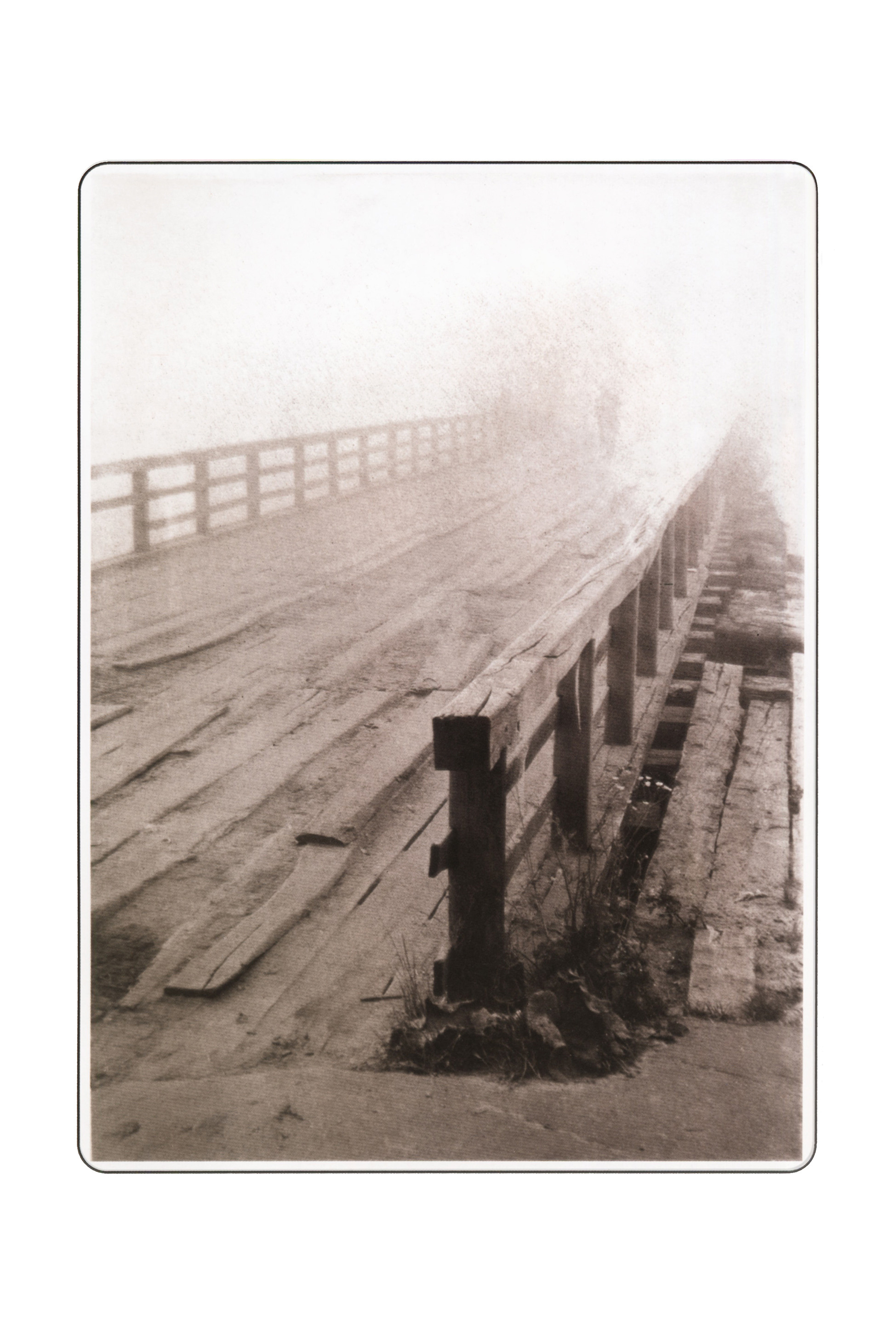 Фотографии. Сергей Михайлович Ландо