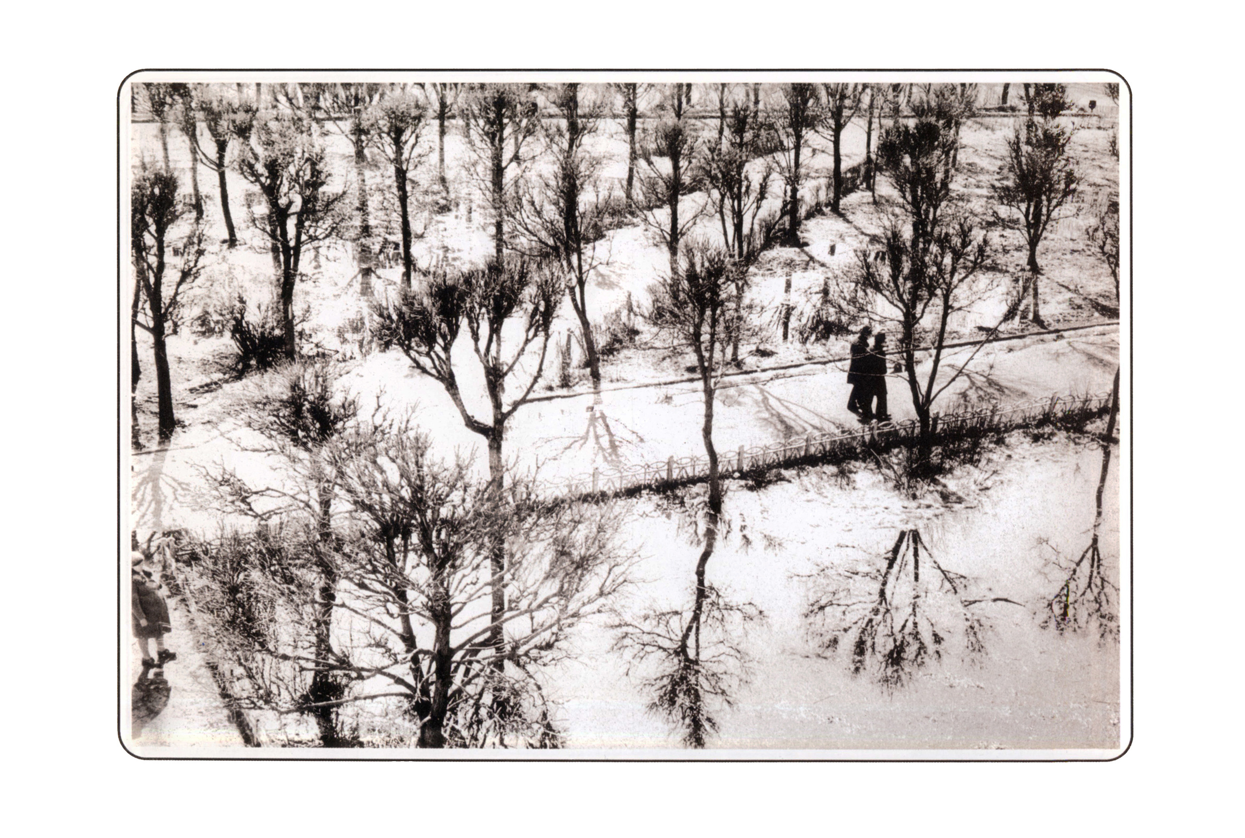 Фотографии. Сергей Михайлович Ландо