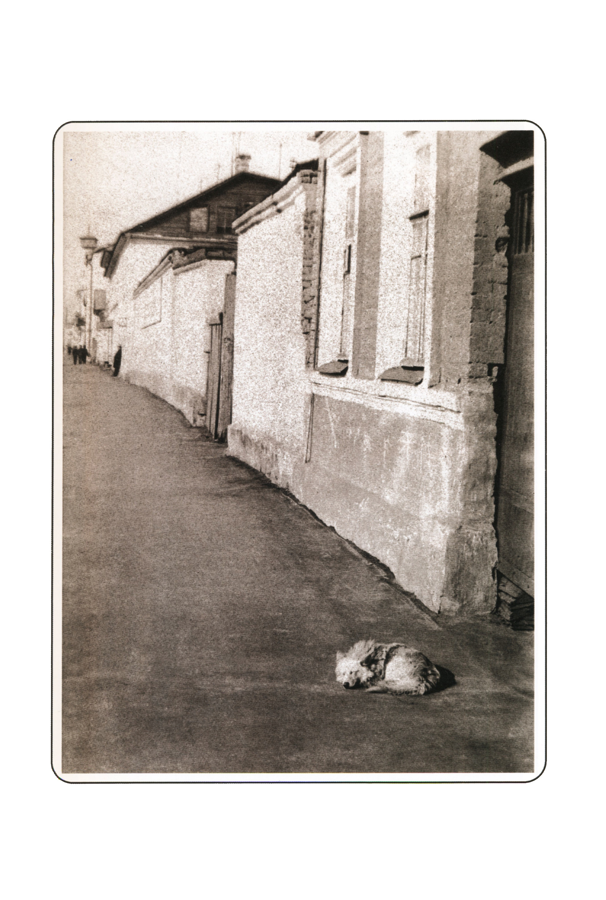 Фотографии. Сергей Михайлович Ландо