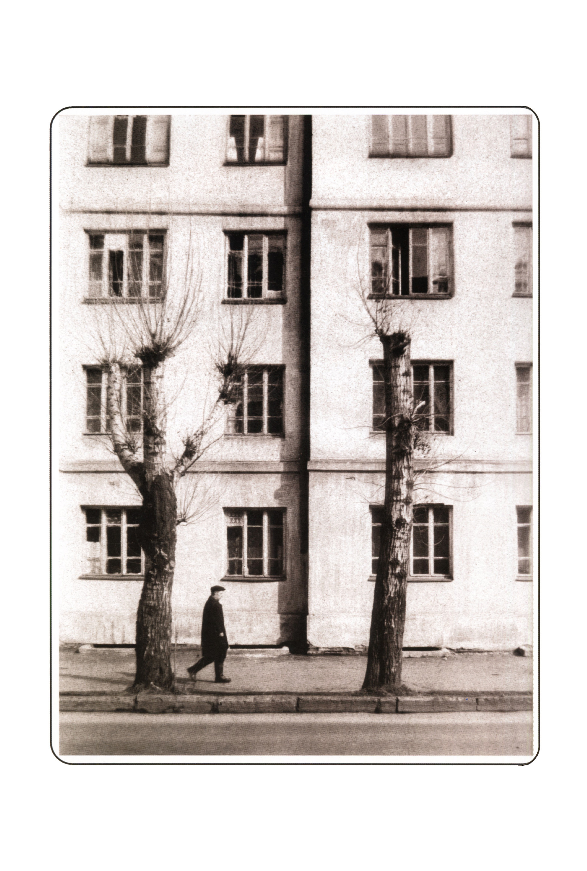 Фотографии. Сергей Михайлович Ландо