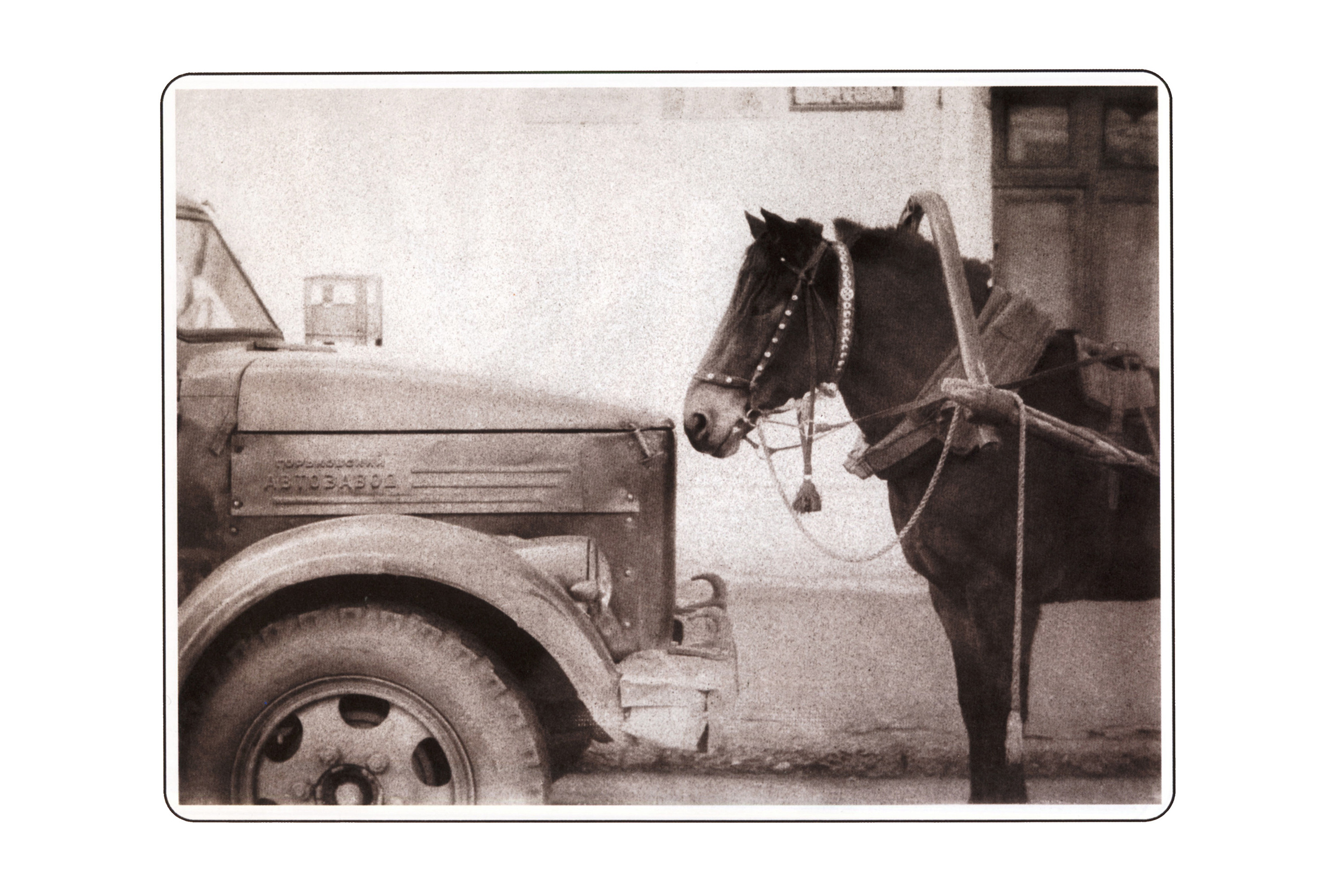 Фотографии. Сергей Михайлович Ландо