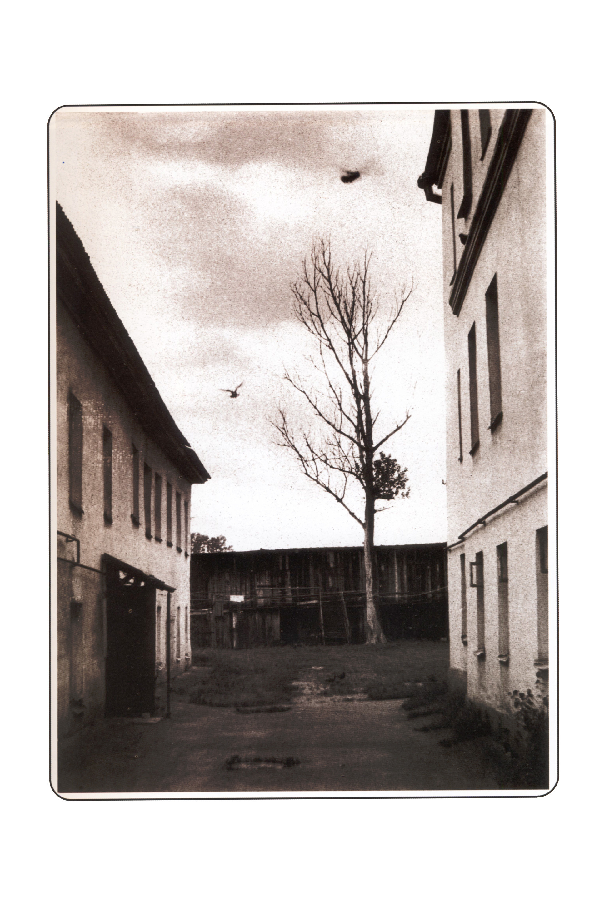 Фотографии. Сергей Михайлович Ландо