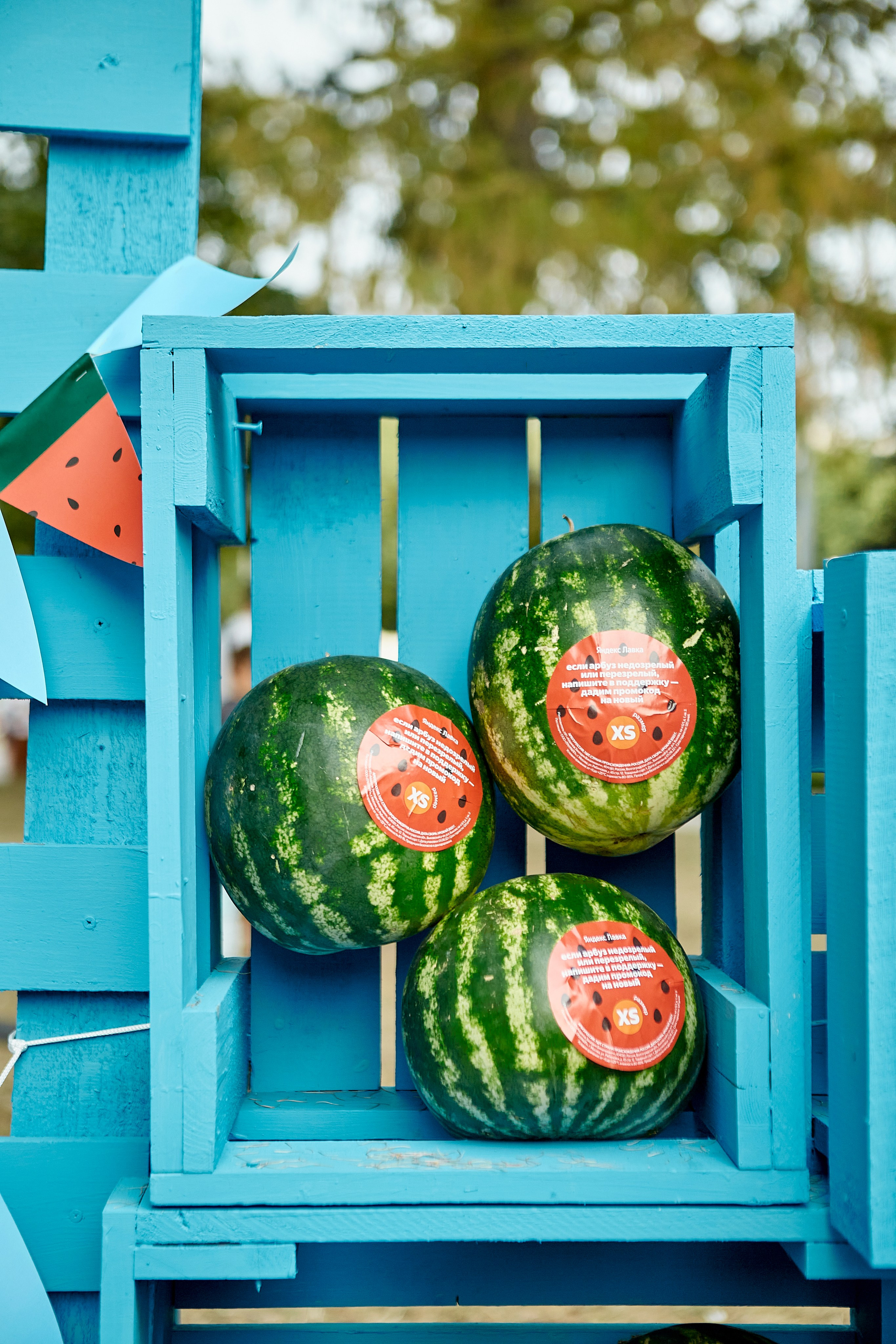 ЯНДЕКС ЛАВКА «АРБУЗНАЯ ФЕЕРИЯ». Фотограф Андрей Егоров
