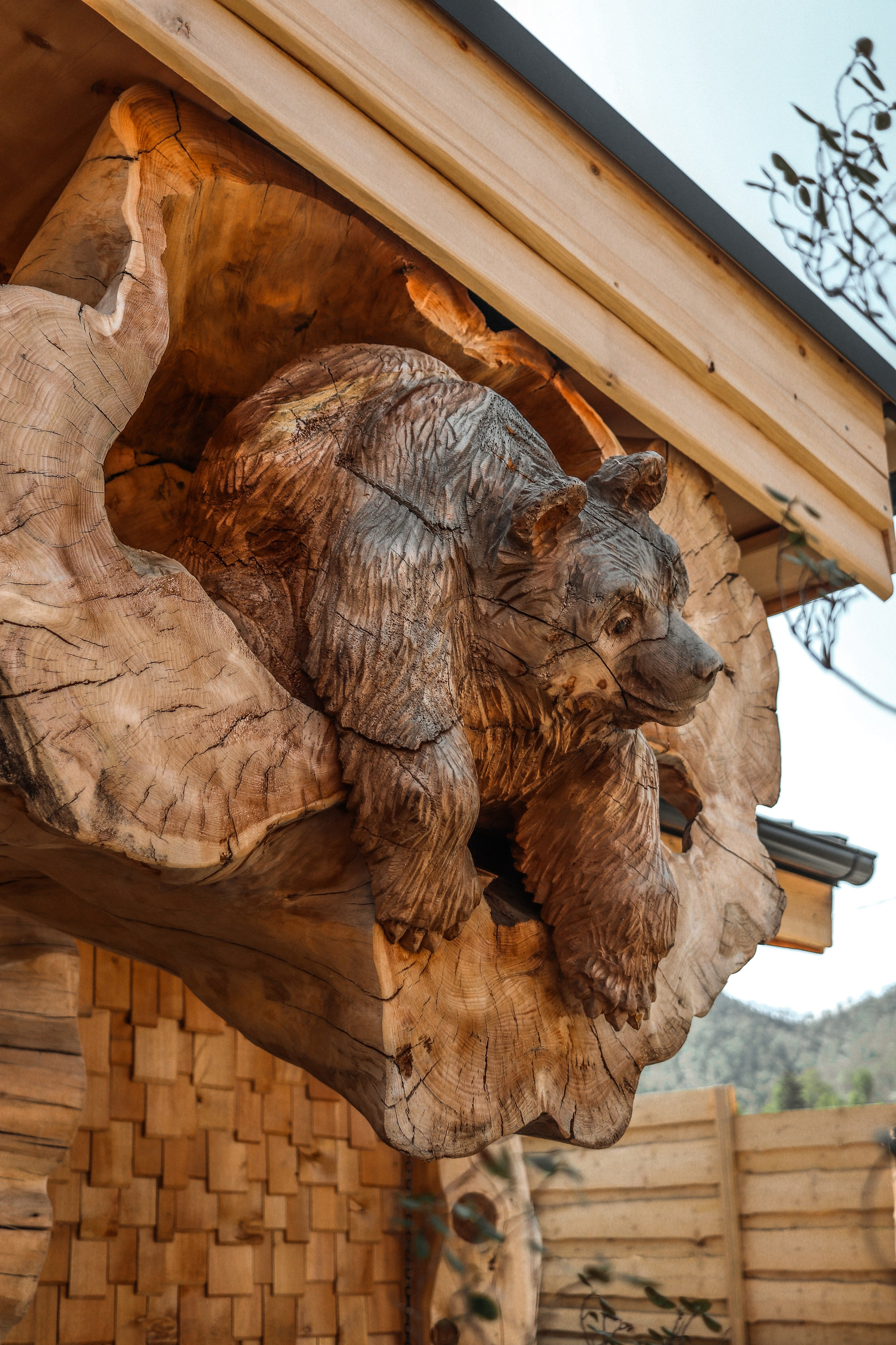 «Воспарение» банный комплекс, респ. Алтай. Контент фотограф Дмитрий Борисов