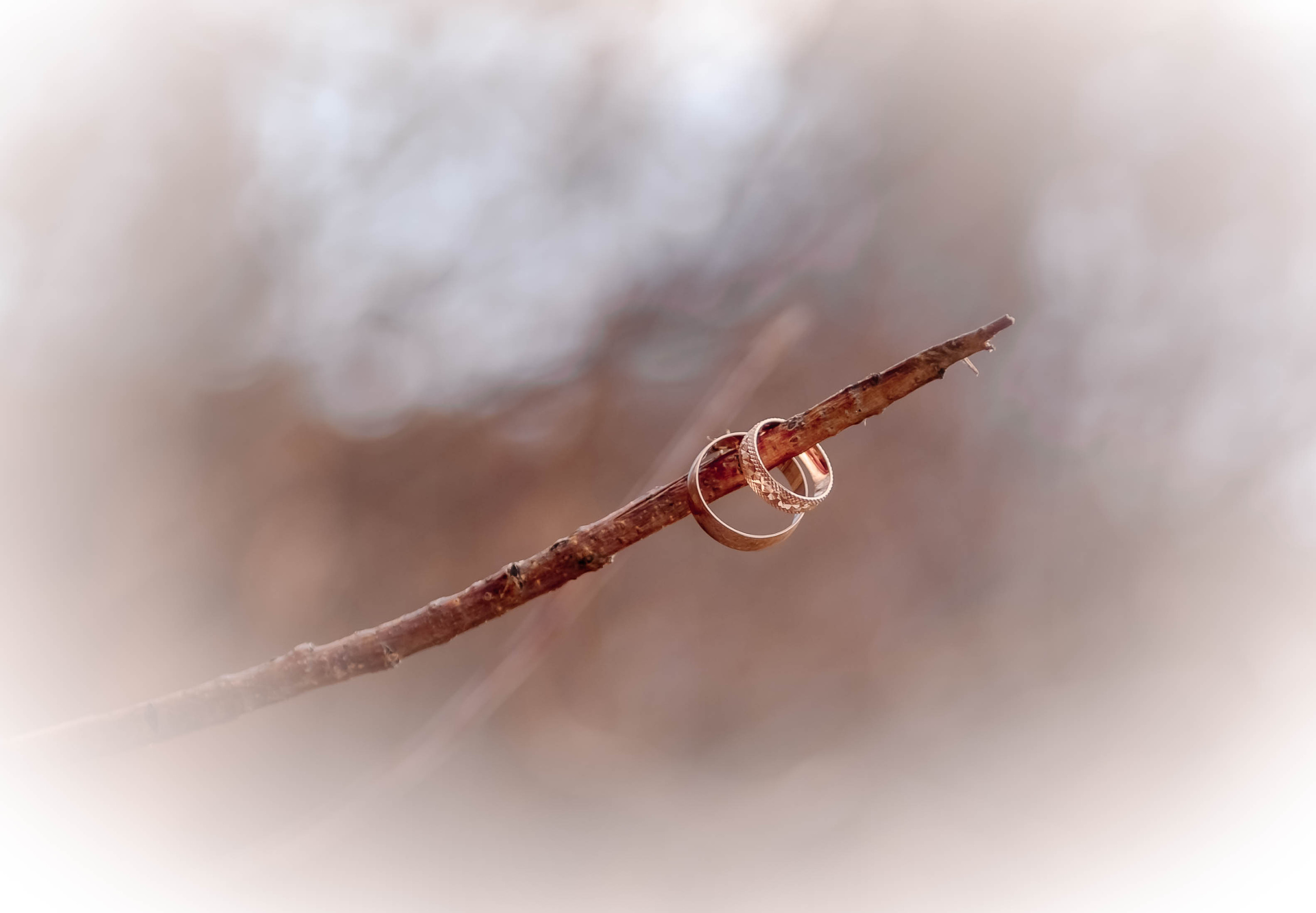 Денис и Светлана. Семейный и детский фотограф Татьяна Перевалова