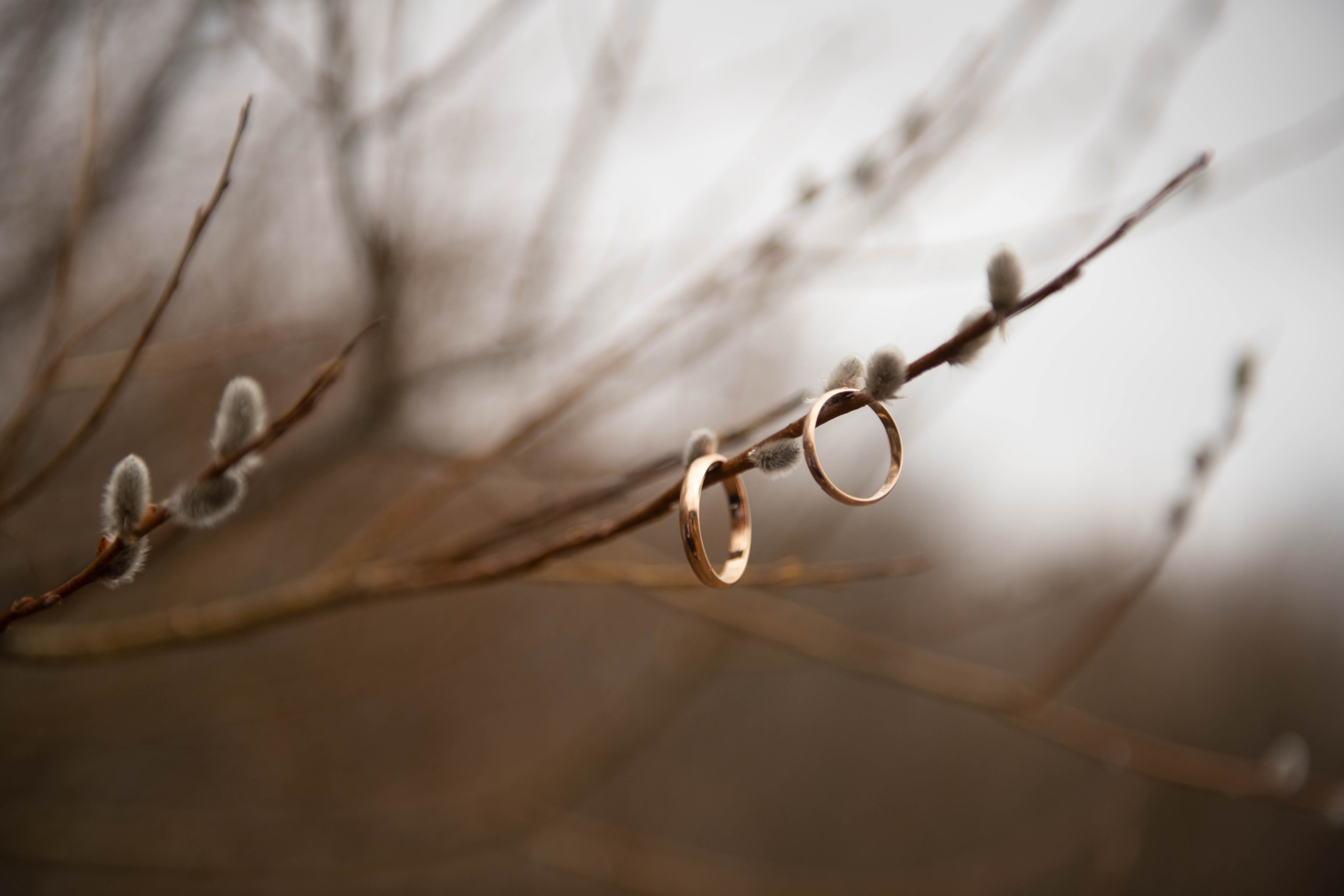 Семён и Дарья. Семейный и детский фотограф Татьяна Перевалова