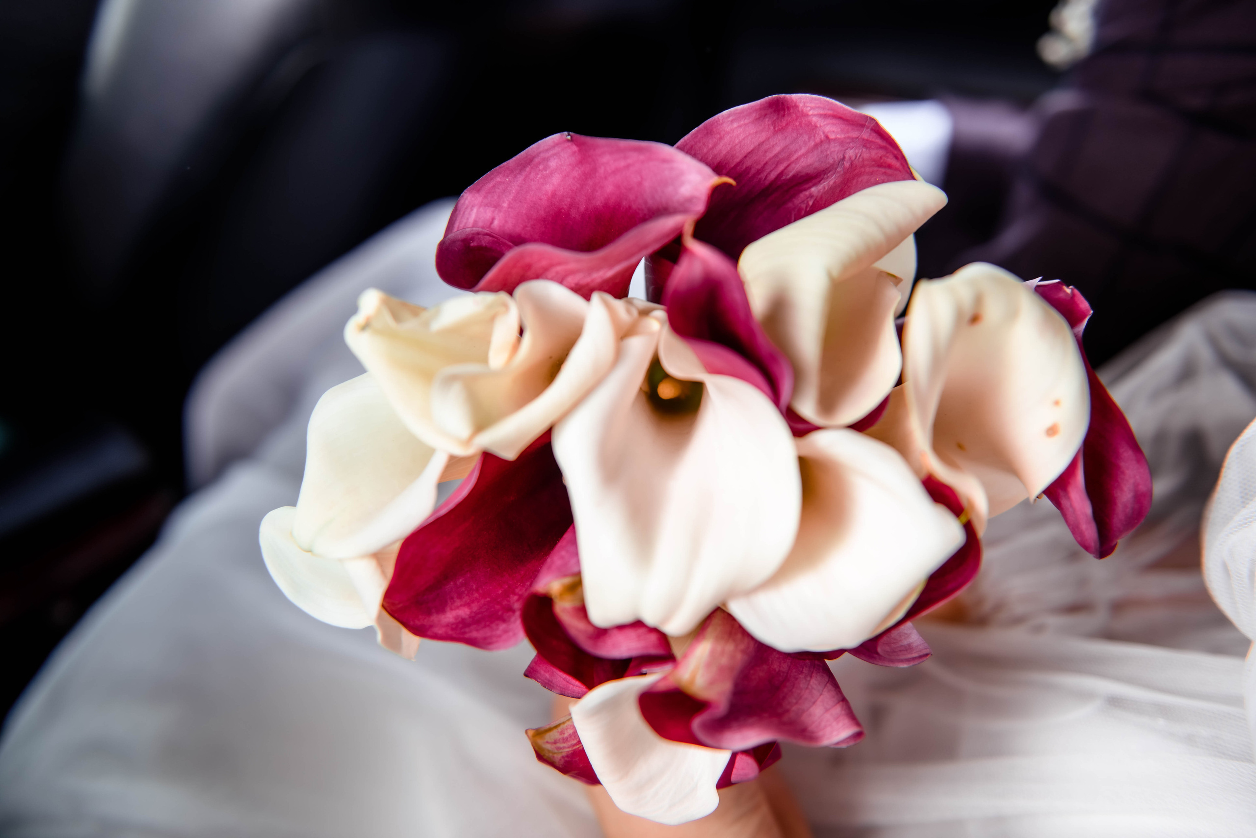 Александр и Кристина. Семейный и детский фотограф Татьяна Перевалова